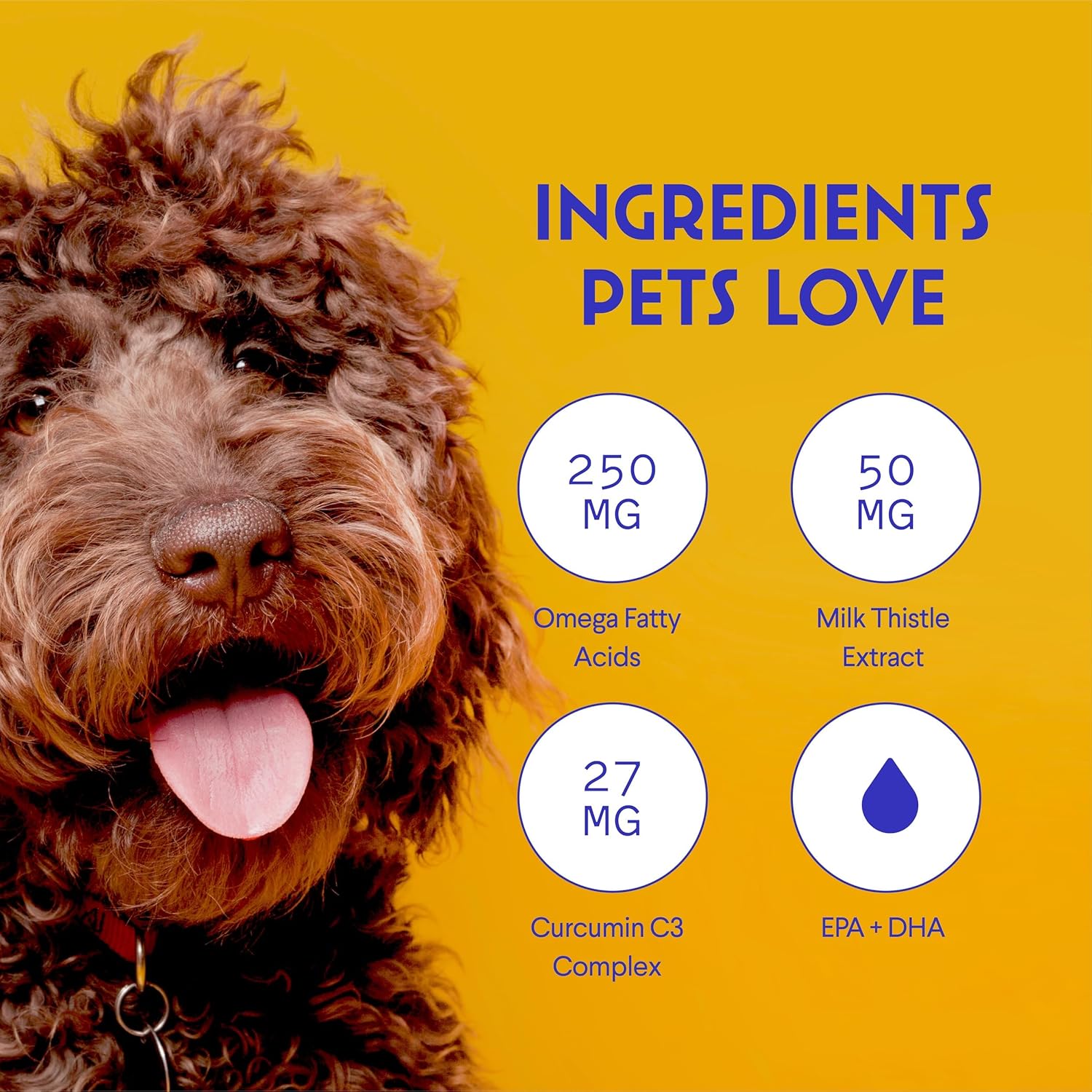 Liver and Kidney Support Supplement for Dogs with Milk Thistle, Wild Alaskan Salmon Oil, and Curcumin - Detox and Hepatic Support - Omega 3 EPA & DHA - 2 Oz