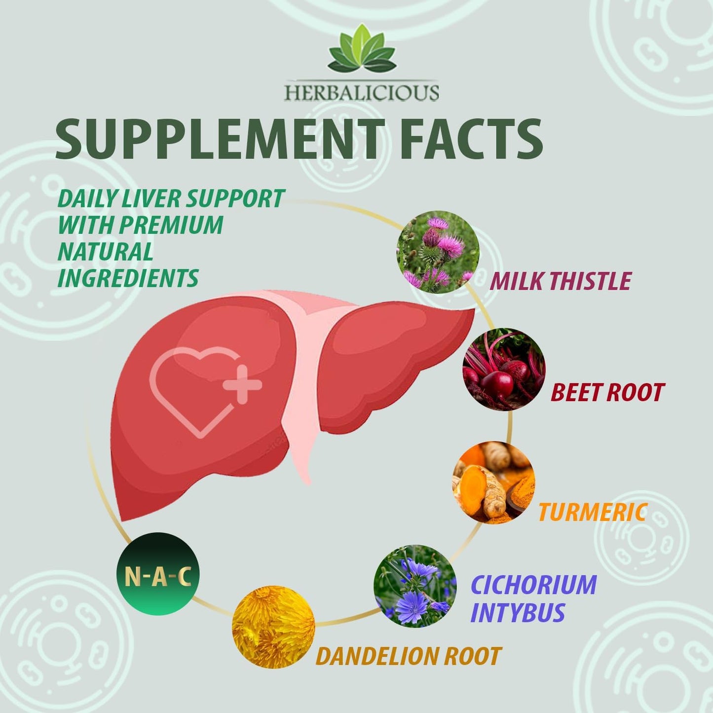 Liver Detox Capsules with NAC, Milk Thistle, Turmeric, and More - Promotes Liver Health and Cellular Protection - 120 Capsules