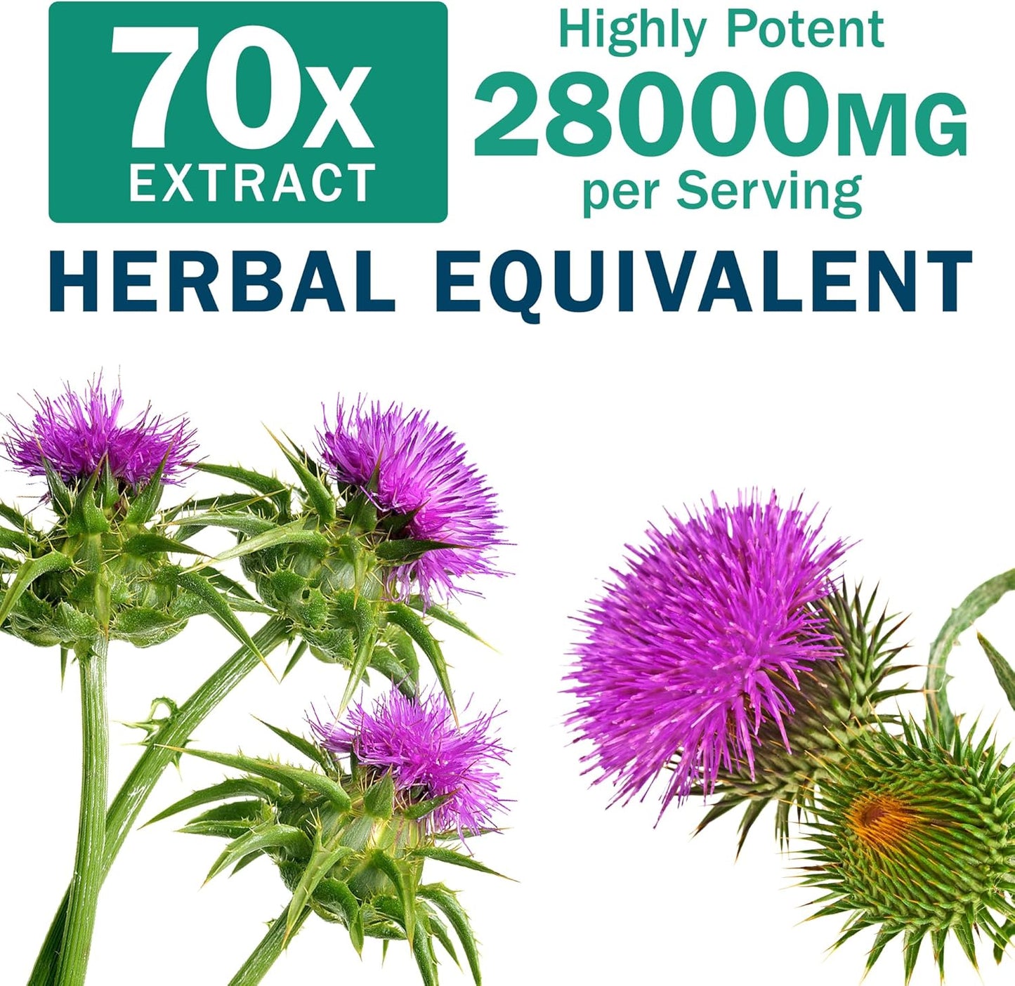 Liver Detox Supplement with Milk Thistle, Dandelion Root, Artichoke Silymarin - 60 Capsules Liver Cleanse & Support