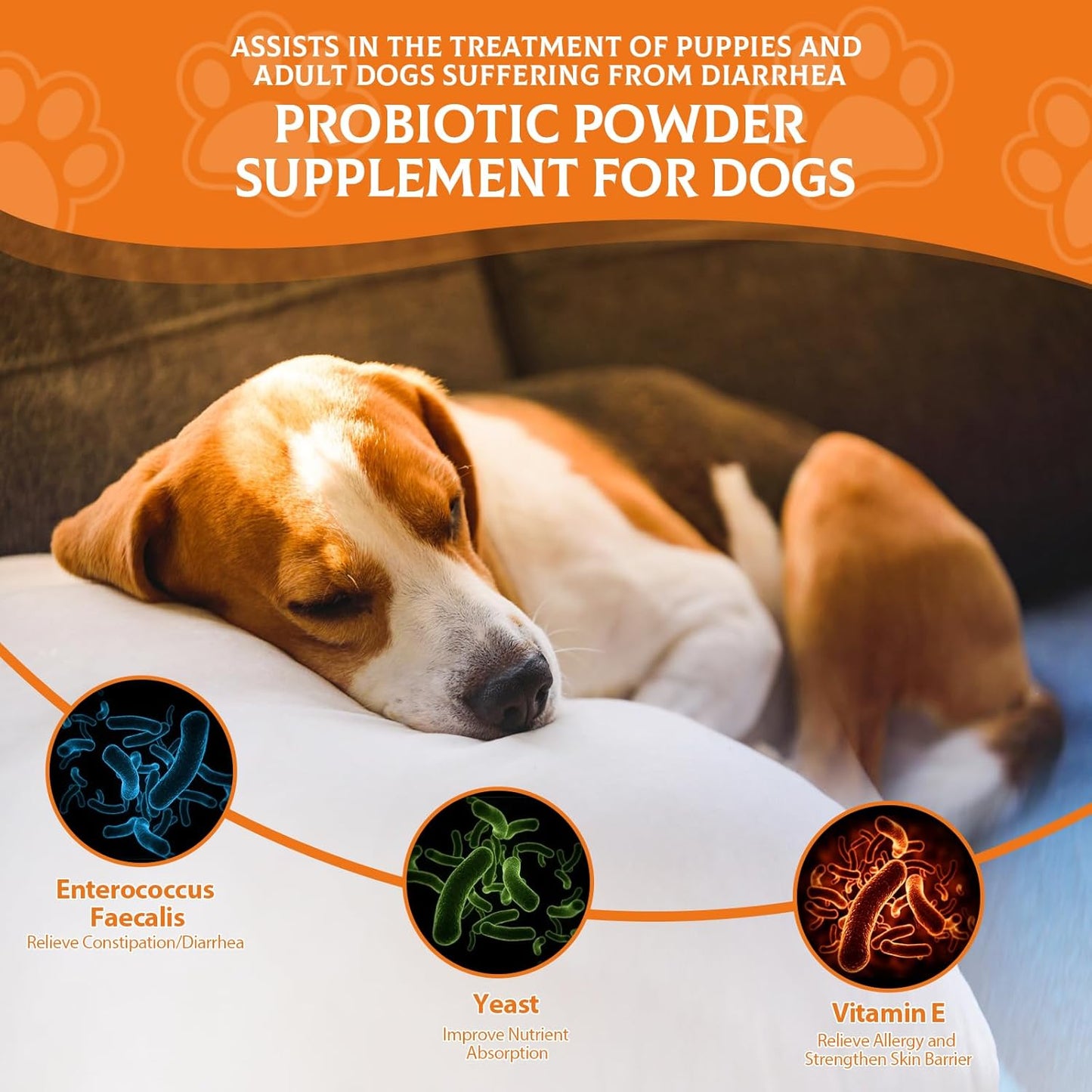 Liver Flavored Probiotic Powder for Dogs - 120 Scoops of Immune and Digestive Health Support