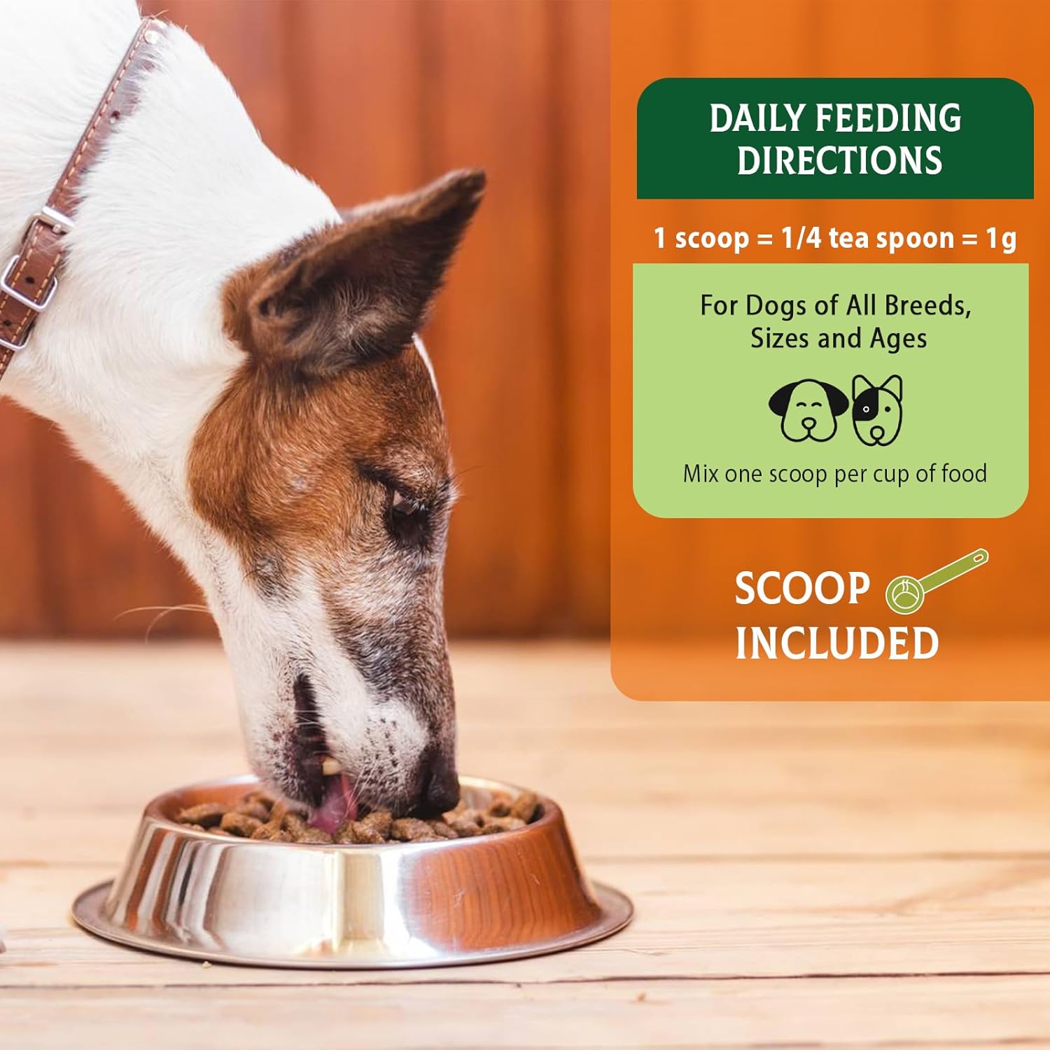 Liver Flavored Probiotic Powder for Dogs - 120 Scoops of Immune and Digestive Health Support