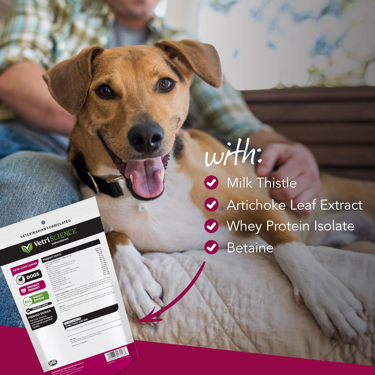 Liver Health Chews for Dogs - Vetri Liver Detox Supplement with Milk Thistle, Turmeric, and Artichoke Leaf - Chicken Flavor, 60 Count