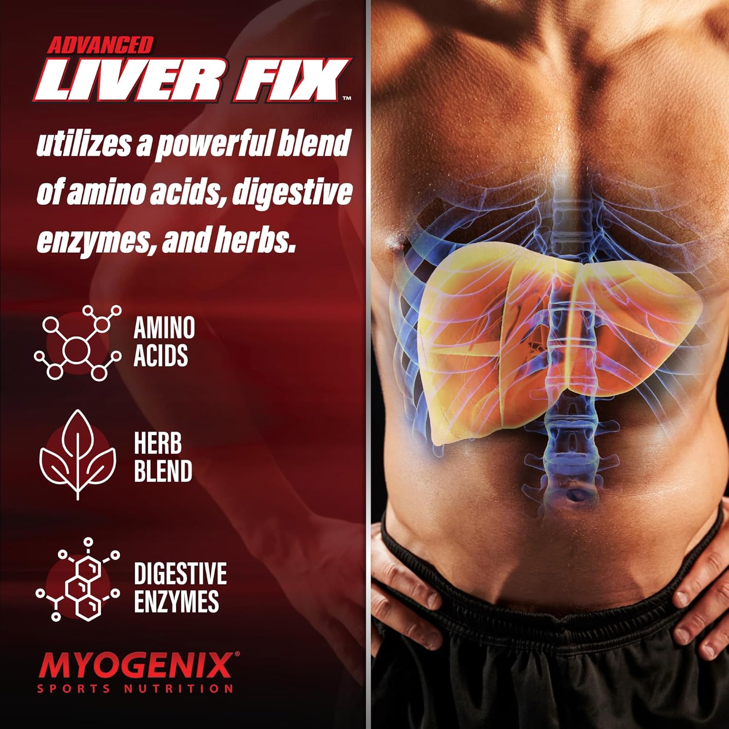 Liver Health Formula - Myogenix Advanced Liver Support Capsules, 120 Easy-to-Swallow Daily Supplement Capsules