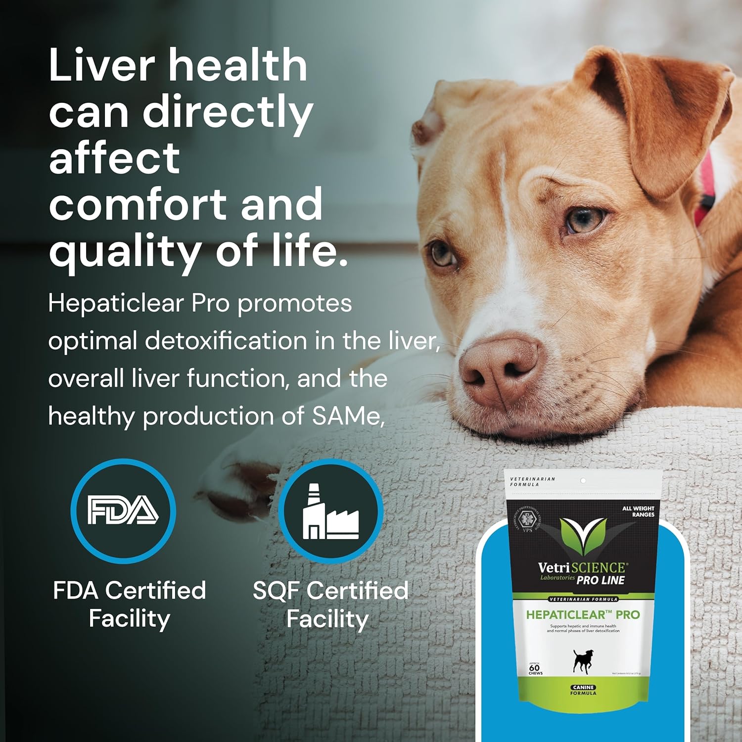 Liver Health Supplement for Dogs - Supports Liver Function & Immune System - 60 Chews for Liver Maintenance