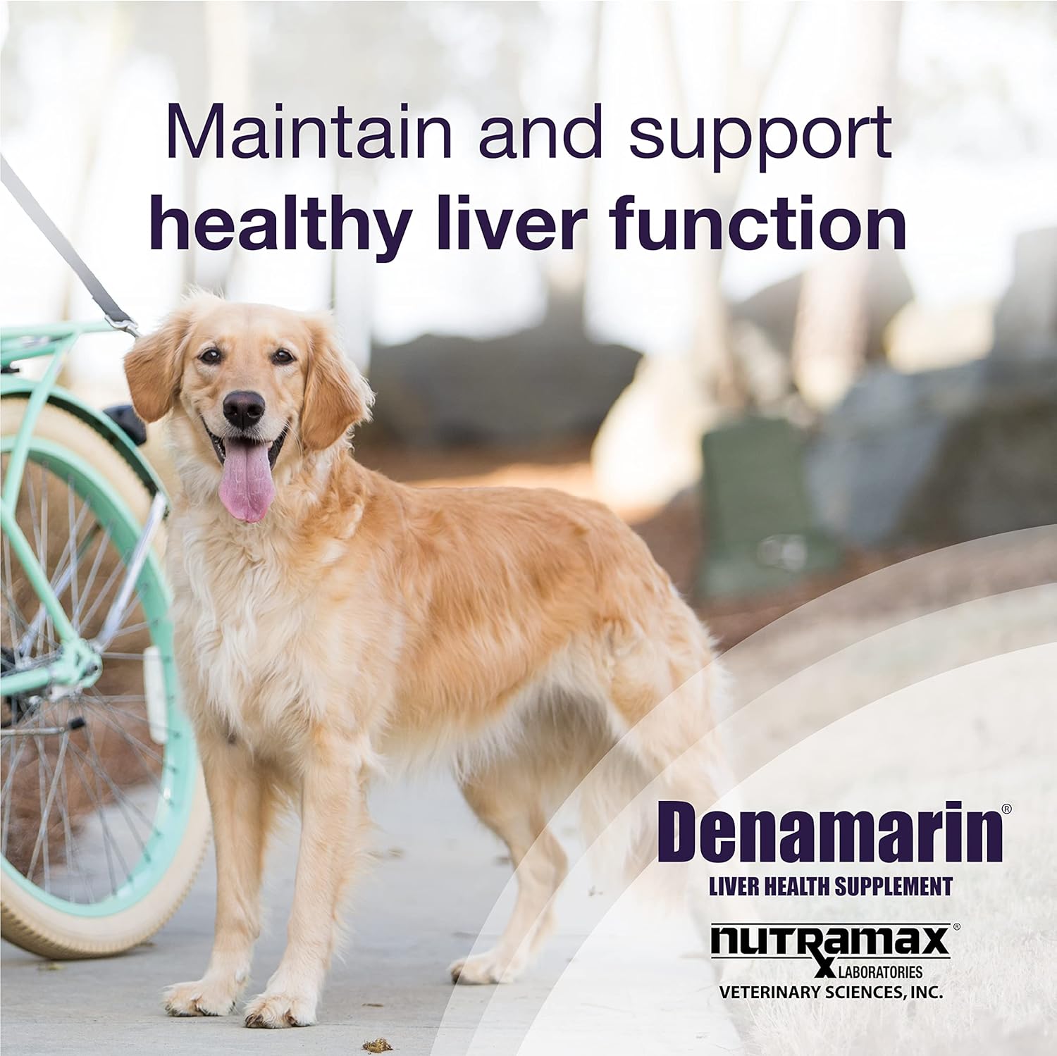 Liver Health Supplement for Large Dogs - Nutramax Denamarin with SAMe & Silybin - 30 Count Pack