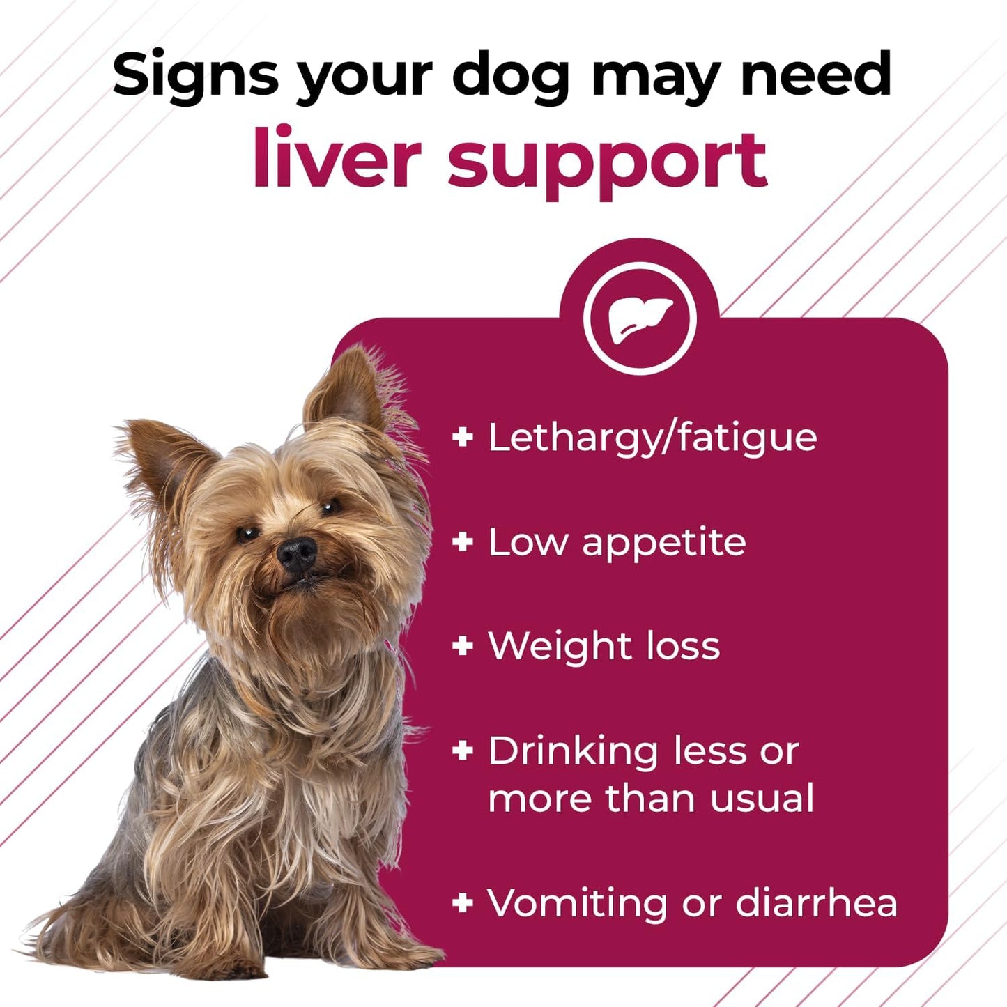 Liver Health Support Supplement for Dogs & Cats - VetriScience SAM-e with Glutathione - 30 Tablets, 1-Month Supply - 90mg