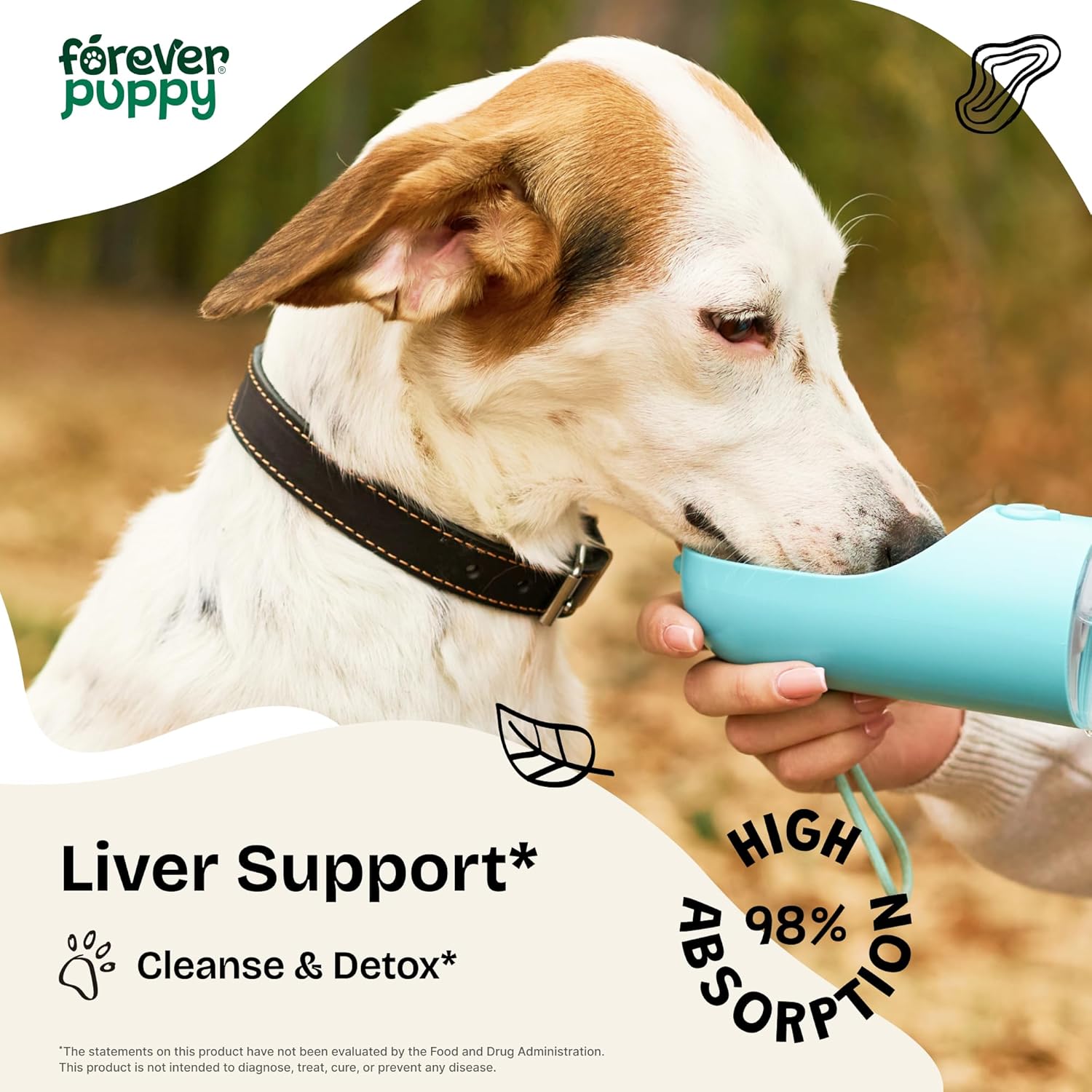Liver Support Drops for Dogs - Milk Thistle Supplement - Detox Drops with Liquid Silymarin - Canine Liver Cleanse - All Breed Sizes - 2 oz