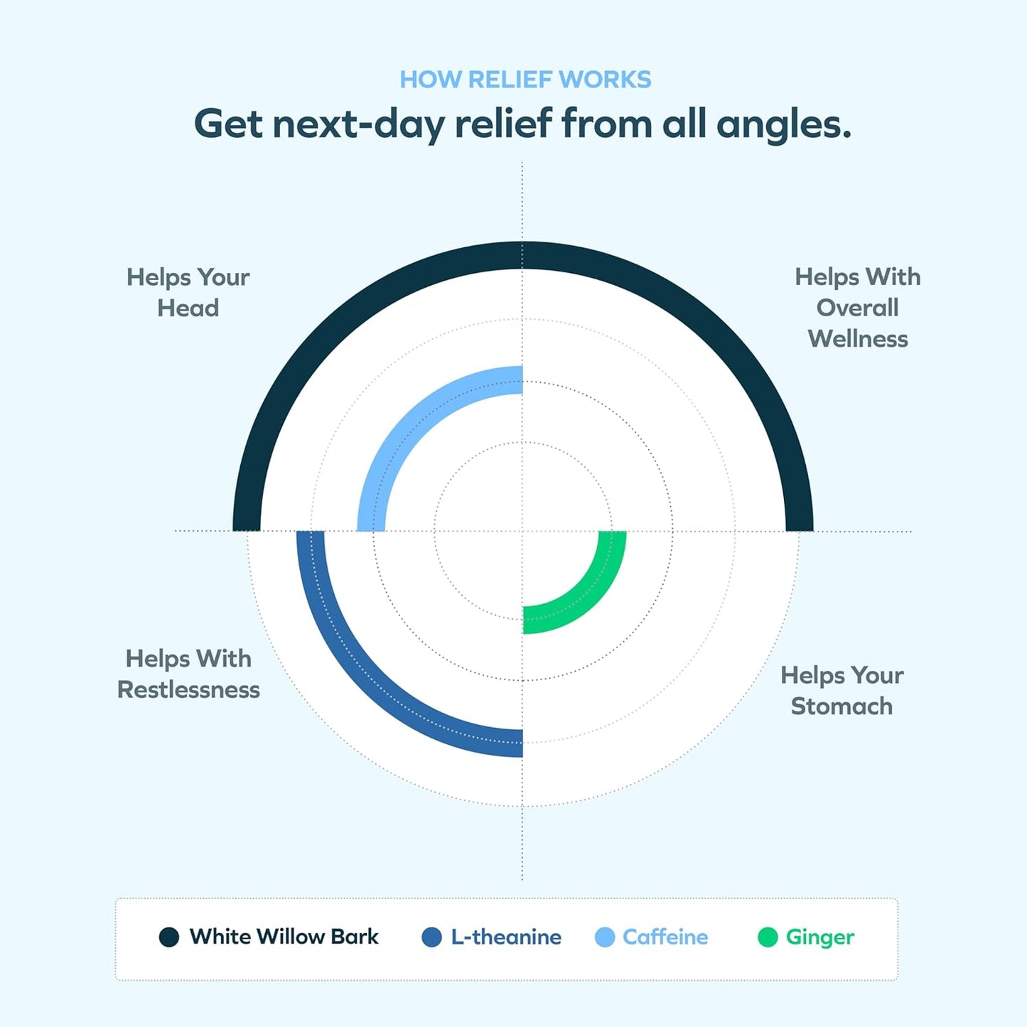 Liver Support & Hangover Relief Bundle | DHM, L-Cysteine, Milk Thistle, Ginger, White Willow Bark | 24 Doses | Supplements for Recovery