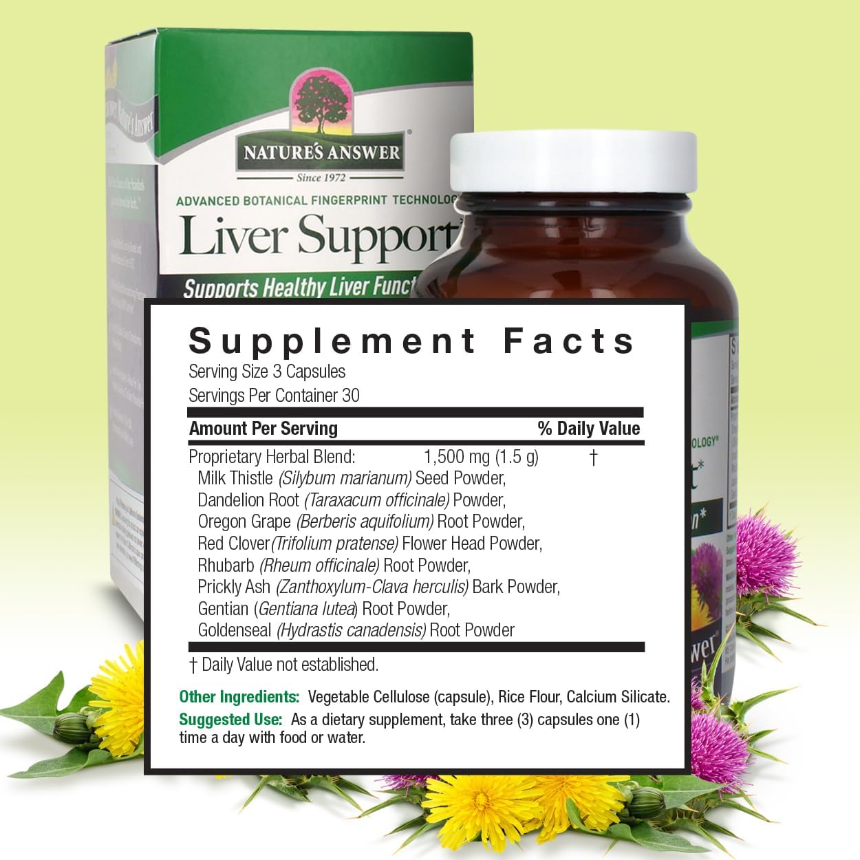 Liver Support Herbal Blend Dietary Supplement - 1500mg | 90 Capsules | Vegan Formula for Liver Function - Single Count