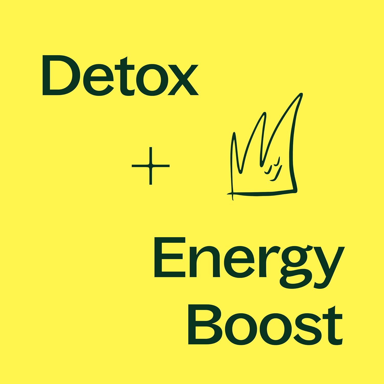 Liver Support Herbal Supplement Capsules, Natural Detox & Energy Boost, 120 Vegetarian Capsules, Made in USA