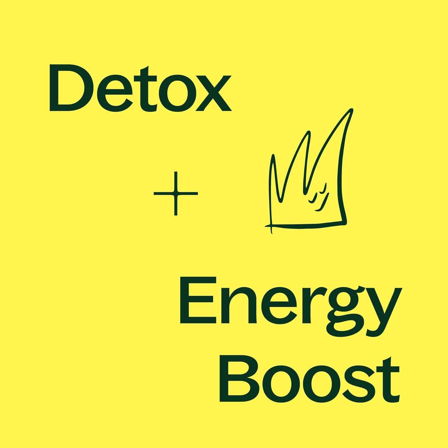 Liver Support Herbal Supplement Capsules, Natural Detox & Energy Boost, 120 Vegetarian Capsules, Made in USA