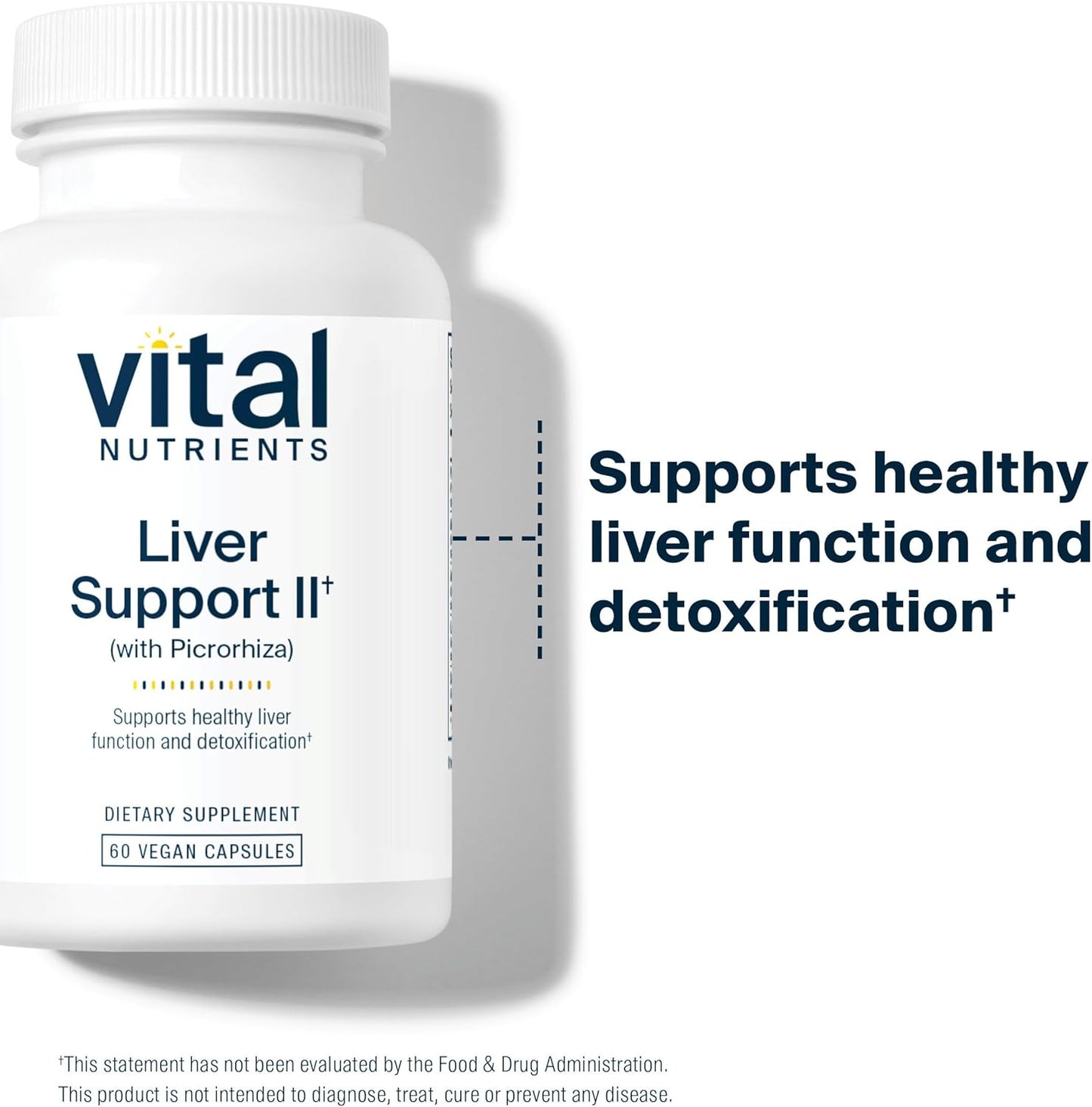 Liver Support II: Herbal Vegan Supplement with Picrorhiza, Milk Thistle, and Curcumin - 60 Capsules, Gluten, Dairy, and Soy Free