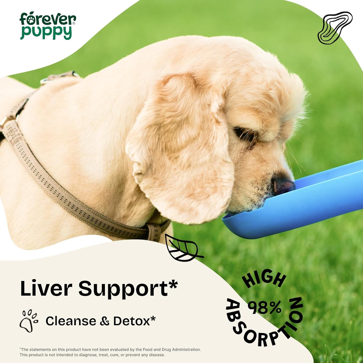 Liver Support Milk Thistle Supplement for Dogs - Silymarin Extract for Canine Liver Health - Detox Drops for Small, Medium, Large Breeds - 2 oz