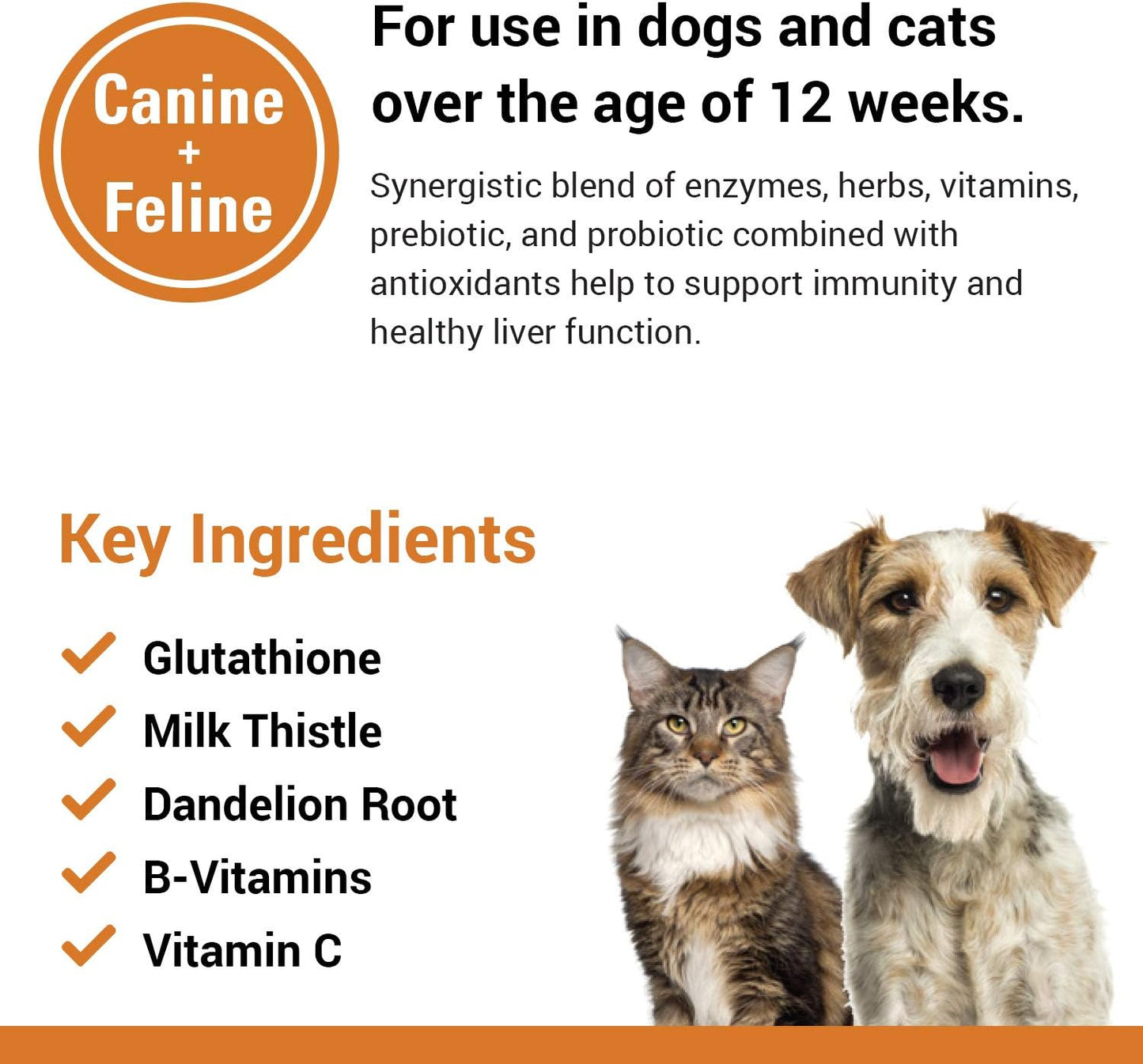 Liver Support Pet Health Supplement for Dogs and Cats - B-Vitamins, Glutathione, Milk Thistle - 60 Soft Chews