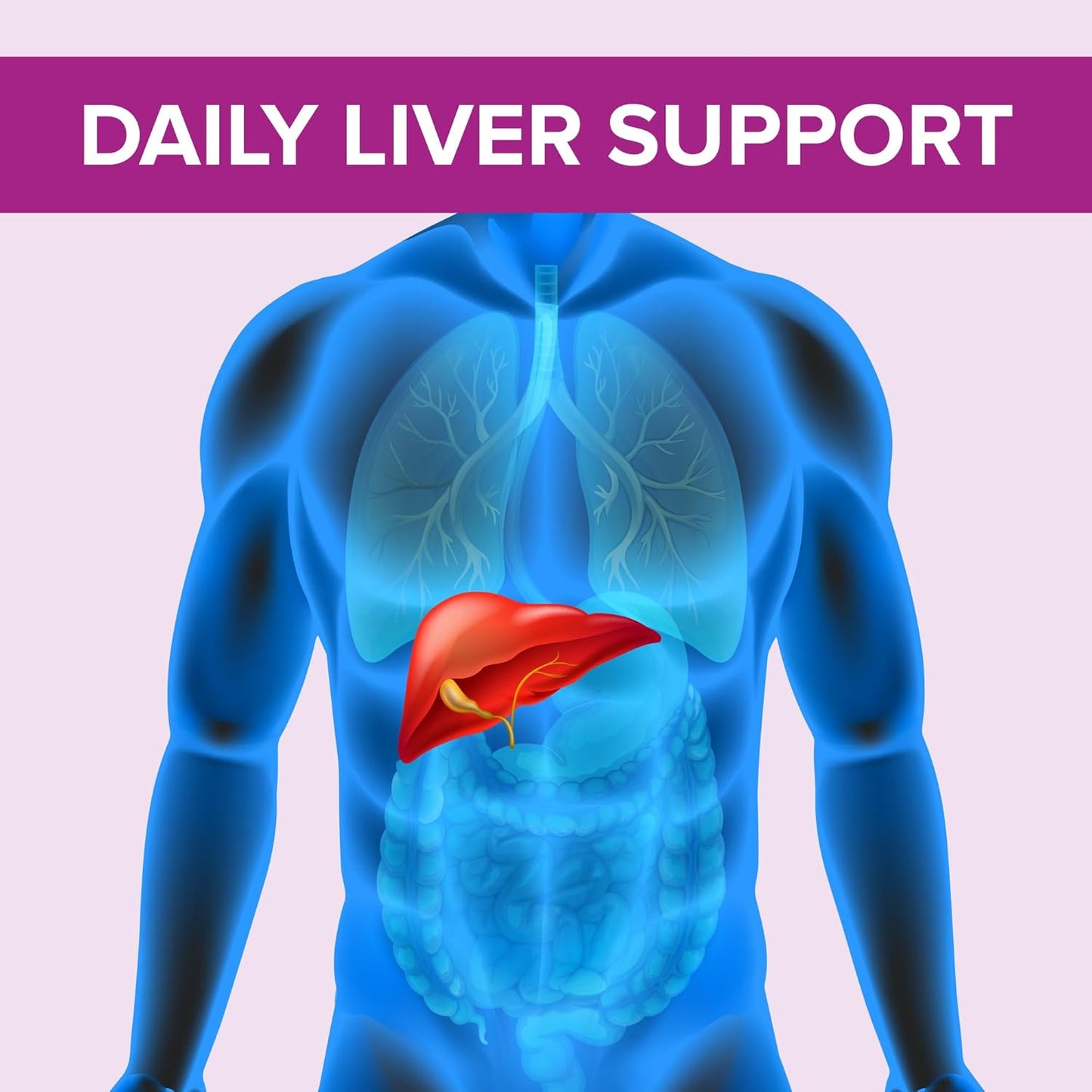 Liver Support Supplement: 240 Tablets of Milk Thistle 70mg 100:1 Extract with 80% Silymarin - Natural Daily Foundation for Liver Health - Made in USA, 3rd Party Tested