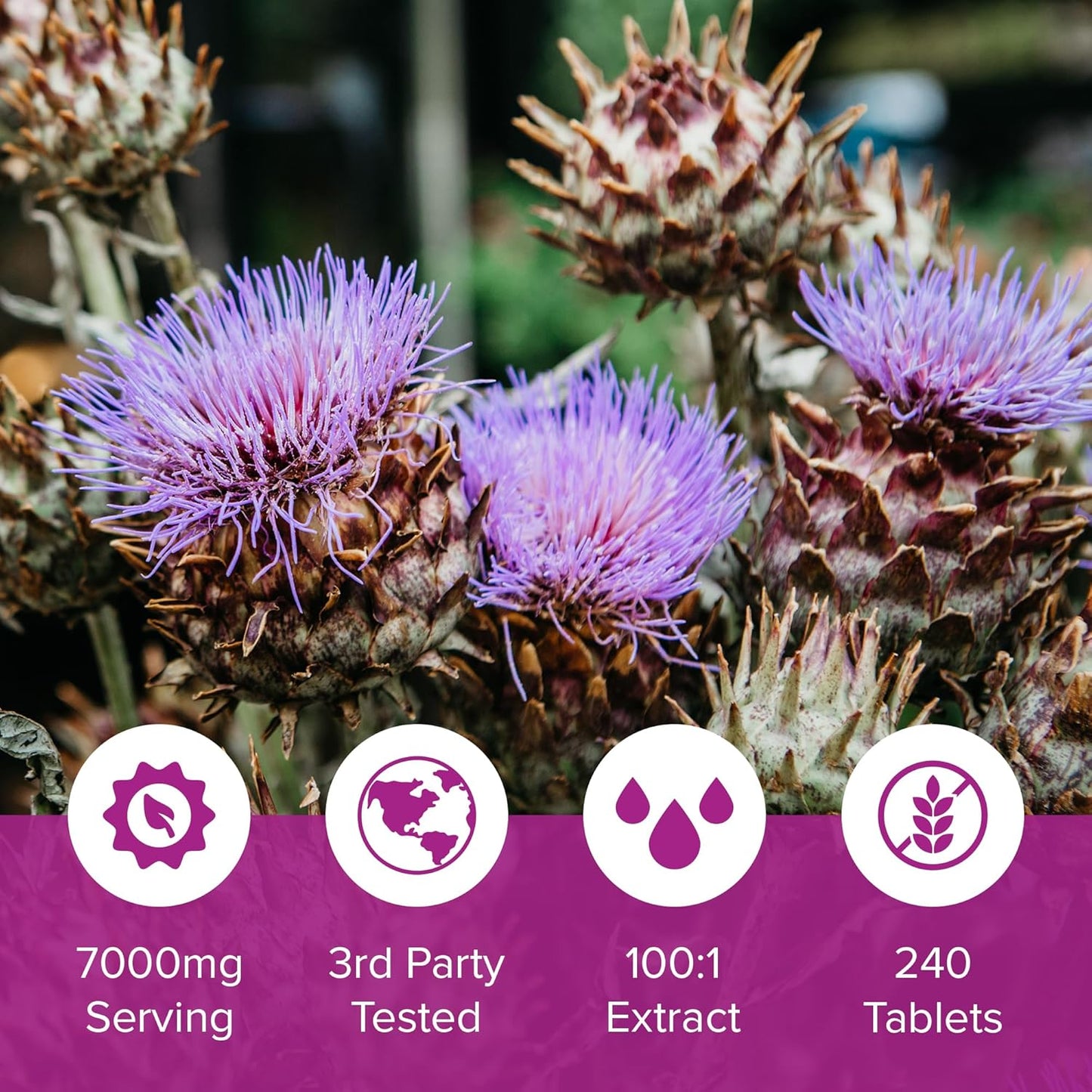 Liver Support Supplement: 240 Tablets of Milk Thistle 70mg 100:1 Extract with 80% Silymarin - Natural Daily Foundation for Liver Health - Made in USA, 3rd Party Tested