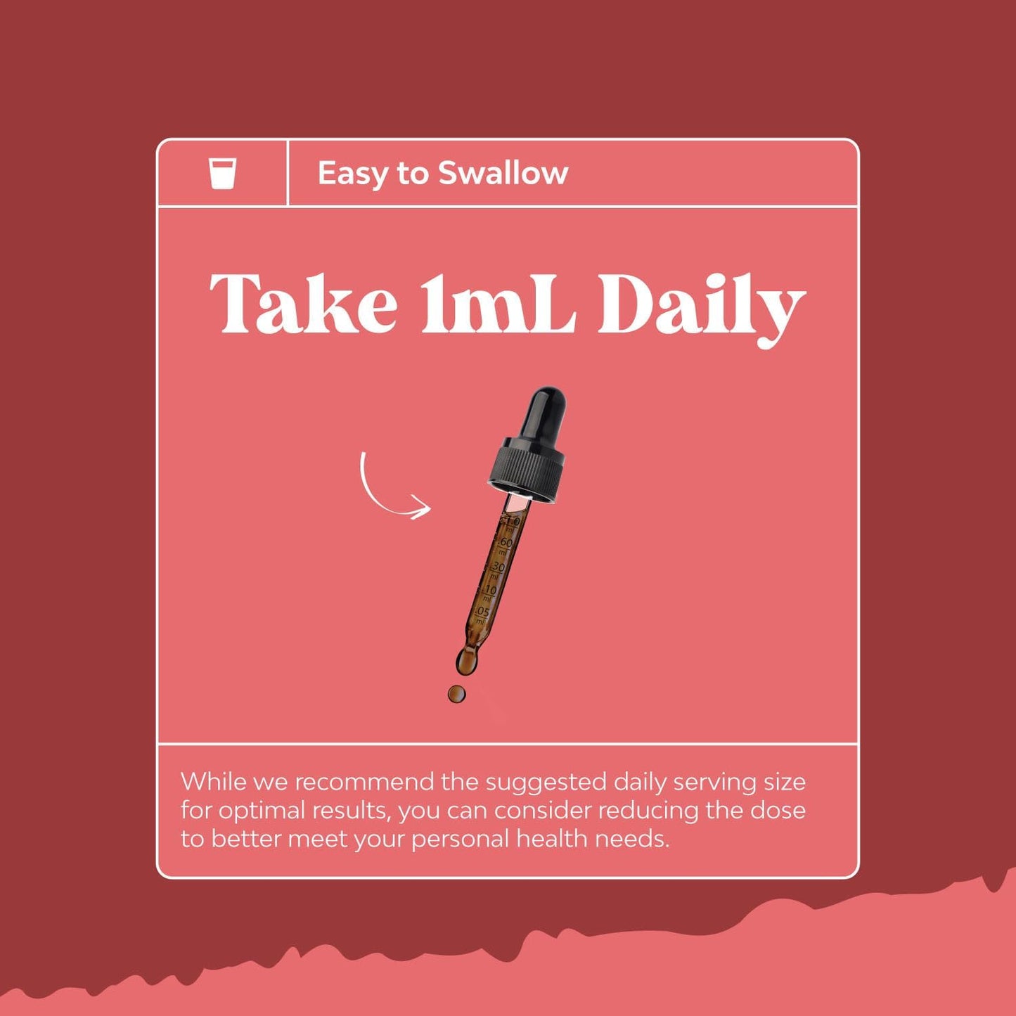 Liver Support Supplement Bundle - Herbal Formula with NAC, Silymarin, and GSE for Digestive and Immune Health