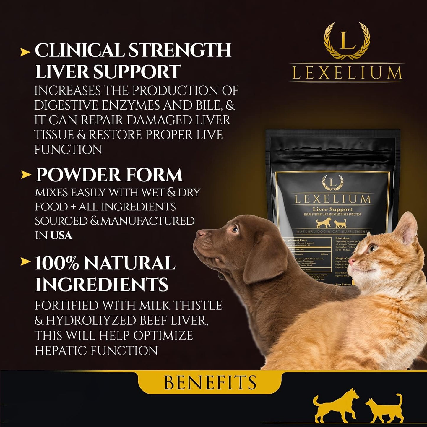Liver Support Supplement for Cats and Dogs - Detox, Kidney, Liver & Skin Function - Milk Thistle, Lysine, Choline Bitartrate, Methionine - 200g