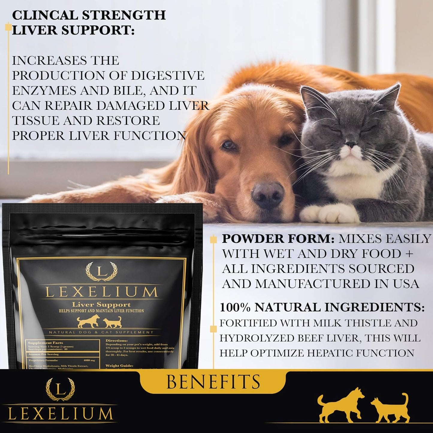 Liver Support Supplement for Cats and Dogs - Detox, Kidney, Liver & Skin Function - Milk Thistle, Lysine, Choline Bitartrate, Methionine - 200g