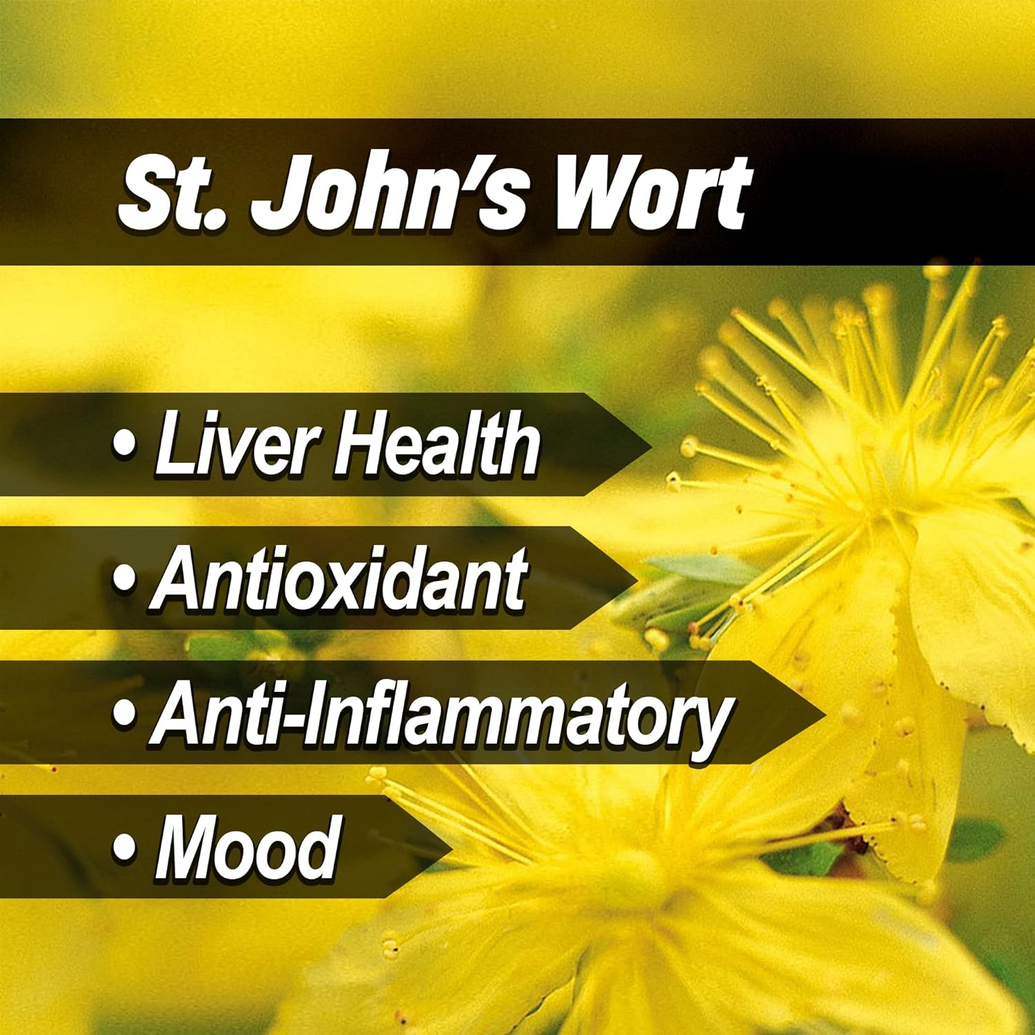 Liver & Thyroid Support Formula for Horses - Natural Herbs for Skin Conditions, Standardized Human-Grade