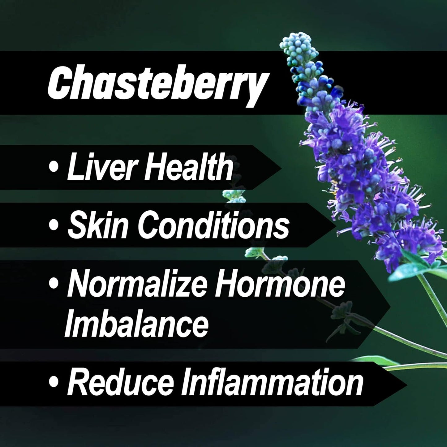 Liver & Thyroid Support Formula for Horses - Natural Herbs for Skin Conditions, Standardized Human-Grade