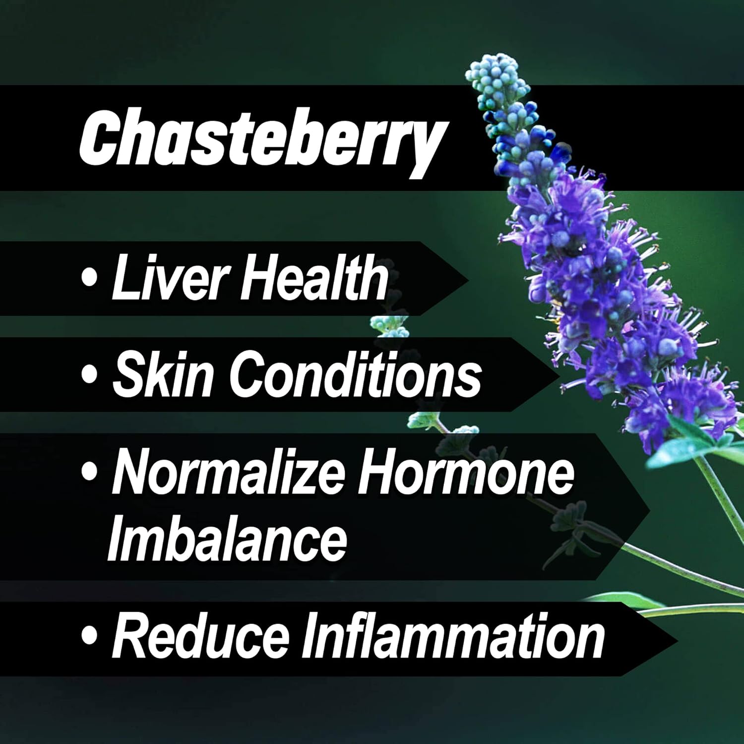 Liver & Thyroid Support Formula for Horses - Natural Herbs for Skin Conditions, Standardized Human-Grade