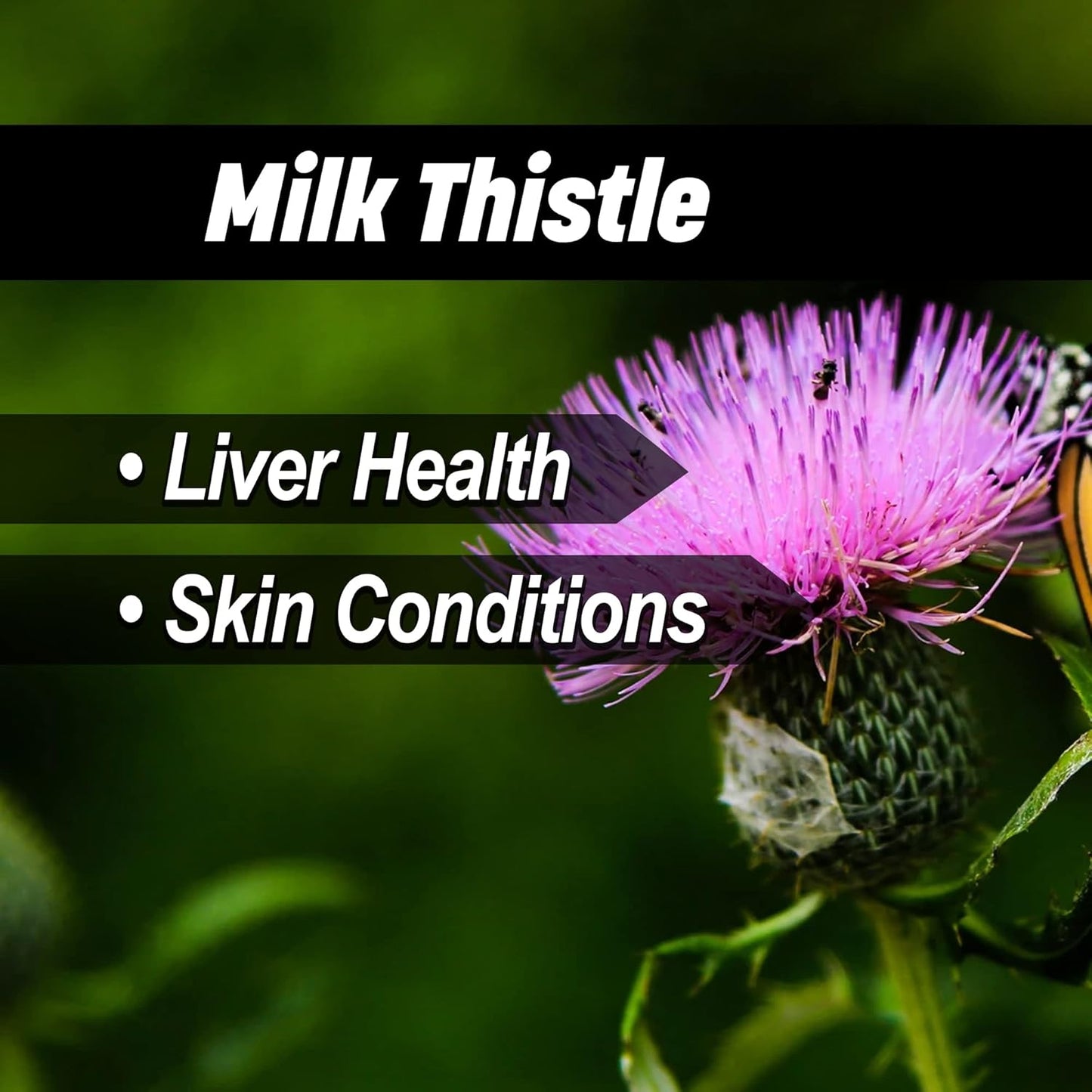 Liver & Thyroid Support Formula for Horses - Natural Herbs for Skin Conditions, Standardized Human-Grade