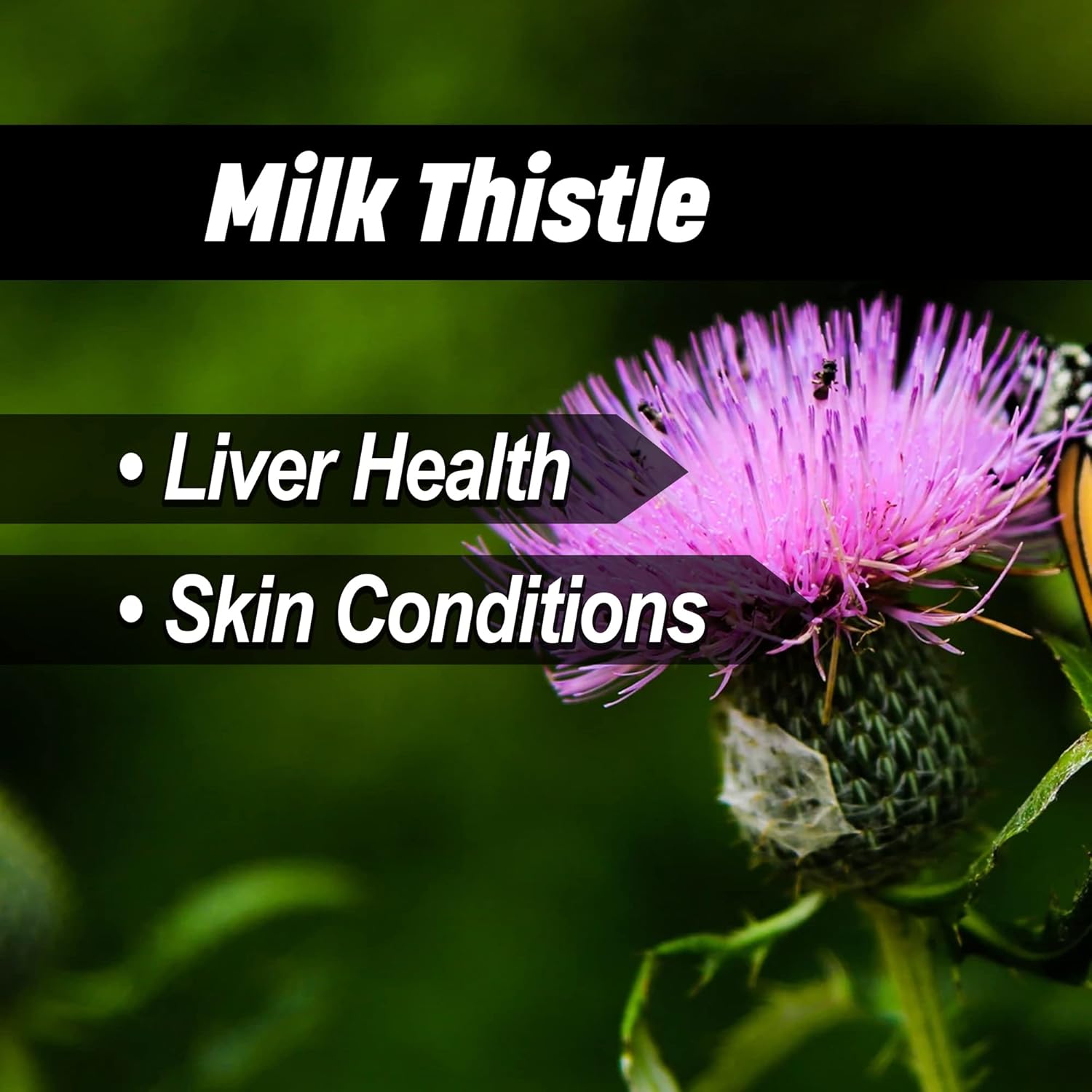 Liver & Thyroid Support Formula for Horses - Natural Herbs for Skin Conditions, Standardized Human-Grade