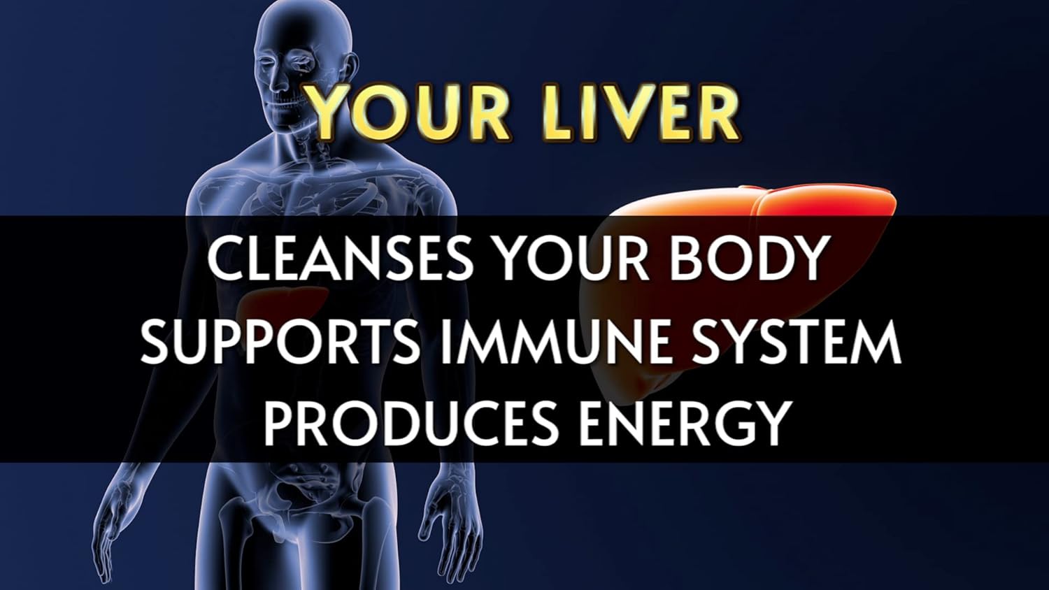 Liverite Liver Aid 120 Tablets for Liver Support, Cleanse, and Function - Boost Energy Levels with Liver Care Supplement