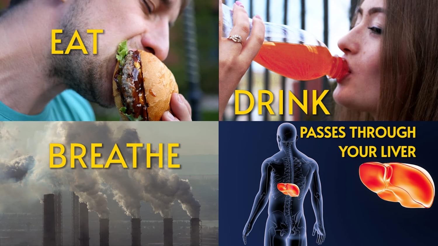 Liverite Liver Aid with Milk Thistle - 150 Capsules for Liver Support, Cleanse, and Improved Energy