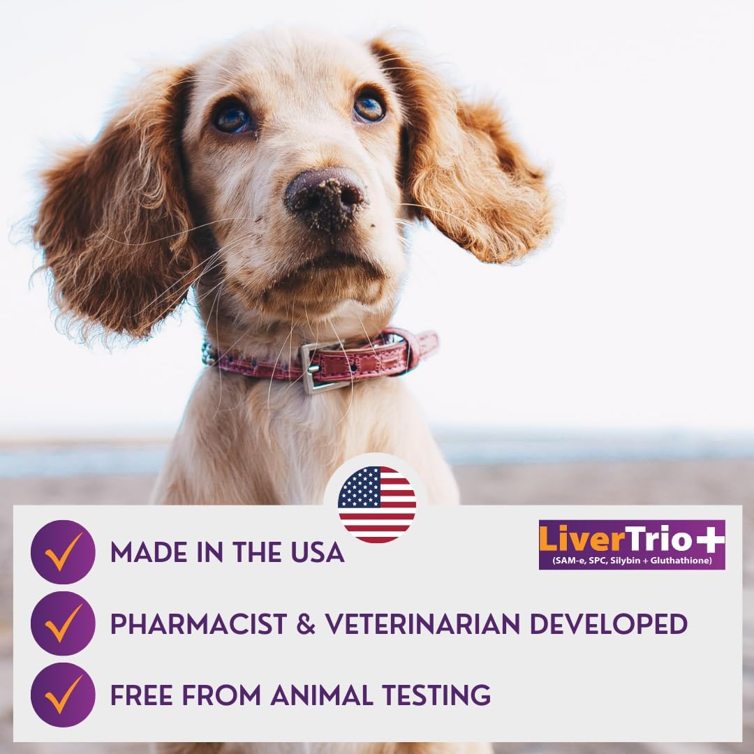 LiverTrio+ Liver Support Chewable Tablets for Small to Medium Dogs - 30 Ct - Same, SPC, Silybin A+B, Glutathione Supplement