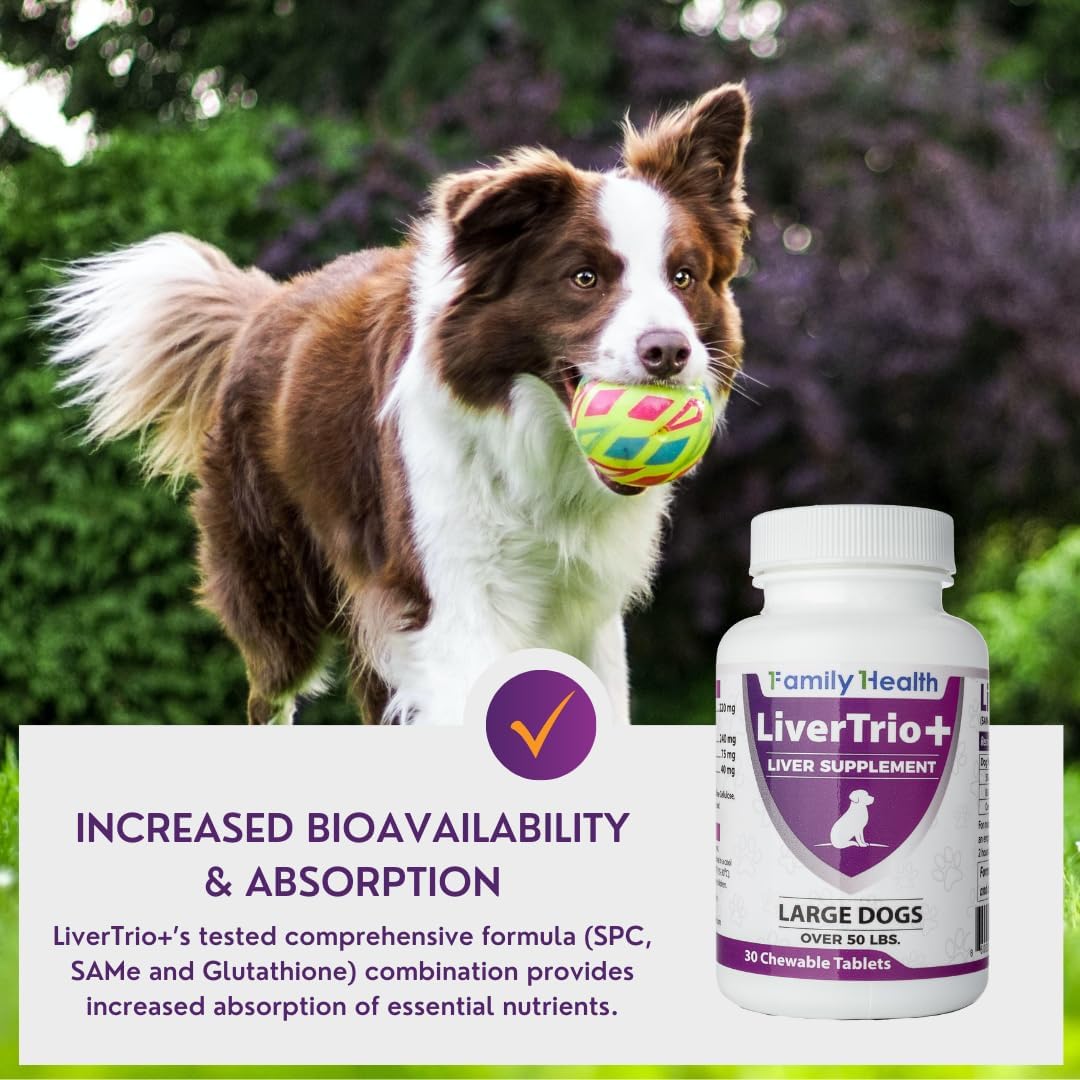 LiverTrio+ Liver Support Chewable Tablets for Small to Medium Dogs - 30 Ct - Same, SPC, Silybin A+B, Glutathione Supplement