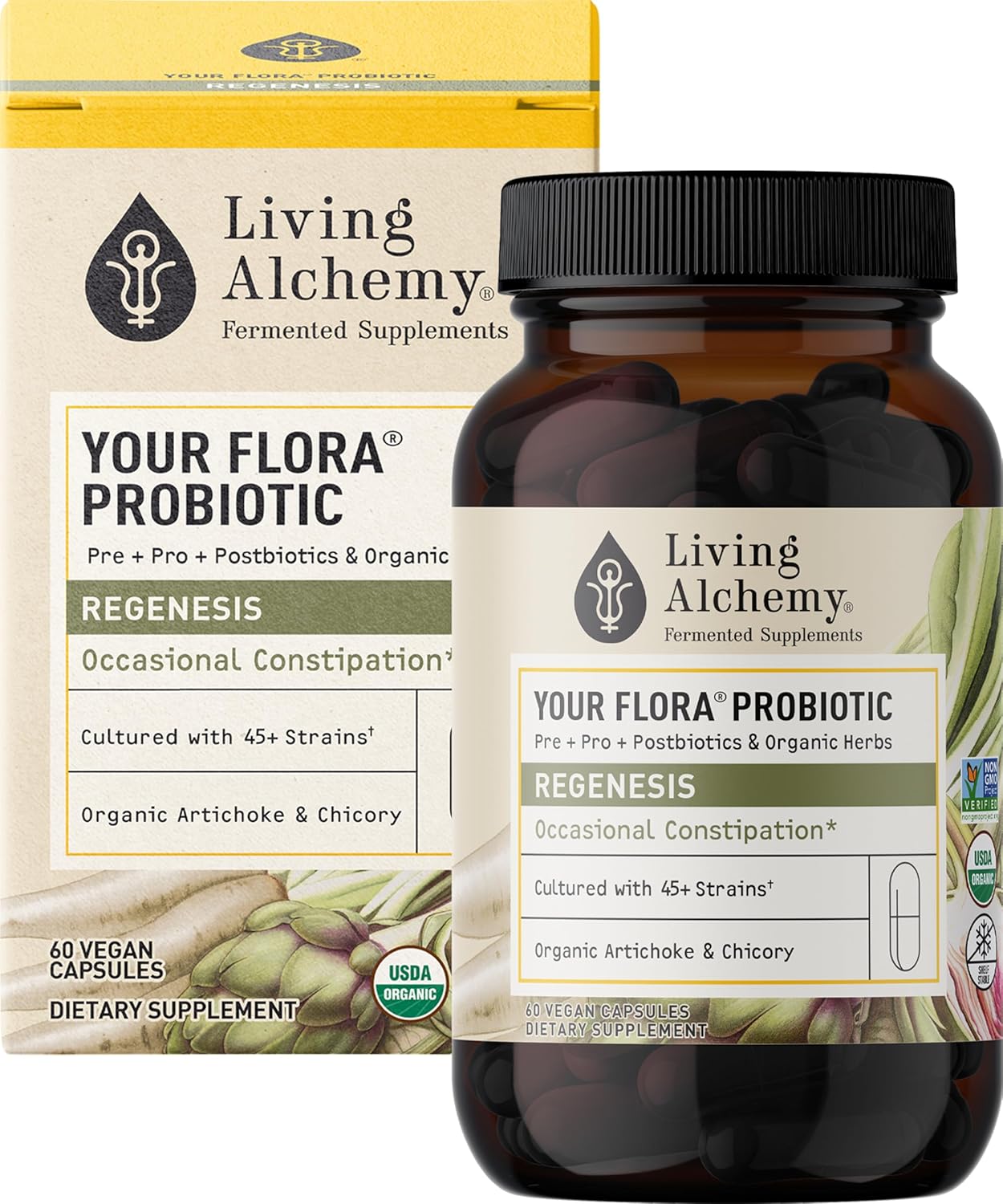 Living Alchemy Your Flora Probiotic Regenesis Capsules - Non-GMO Blend with Fermented Soybean, Artichoke, & Chicory for Gut Health, Prebiotics, Postbiotics, Digestive Enzymes - 60 Count