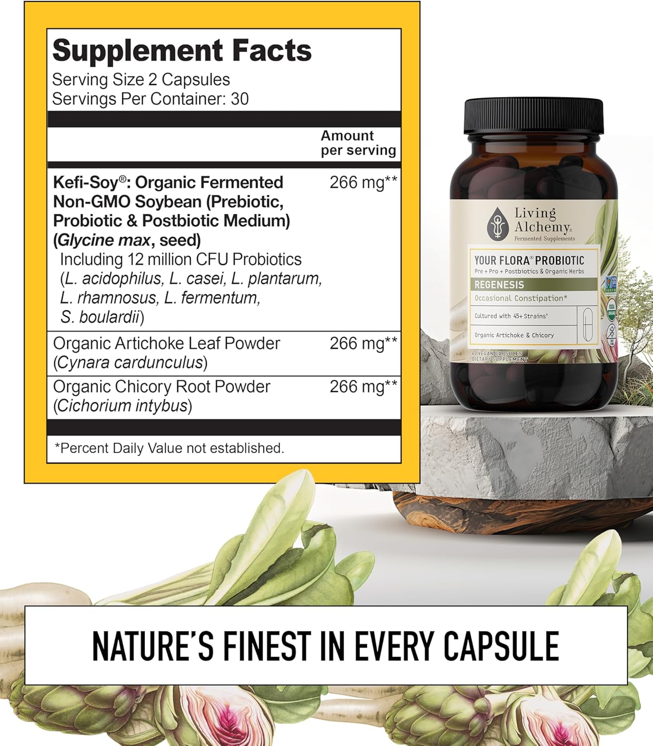 Living Alchemy Your Flora Probiotic Regenesis Capsules - Non-GMO Blend with Fermented Soybean, Artichoke, & Chicory for Gut Health, Prebiotics, Postbiotics, Digestive Enzymes - 60 Count