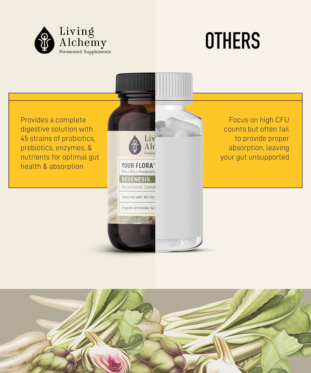 Living Alchemy Your Flora Probiotic Regenesis Capsules - Non-GMO Blend with Fermented Soybean, Artichoke, & Chicory for Gut Health, Prebiotics, Postbiotics, Digestive Enzymes - 60 Count