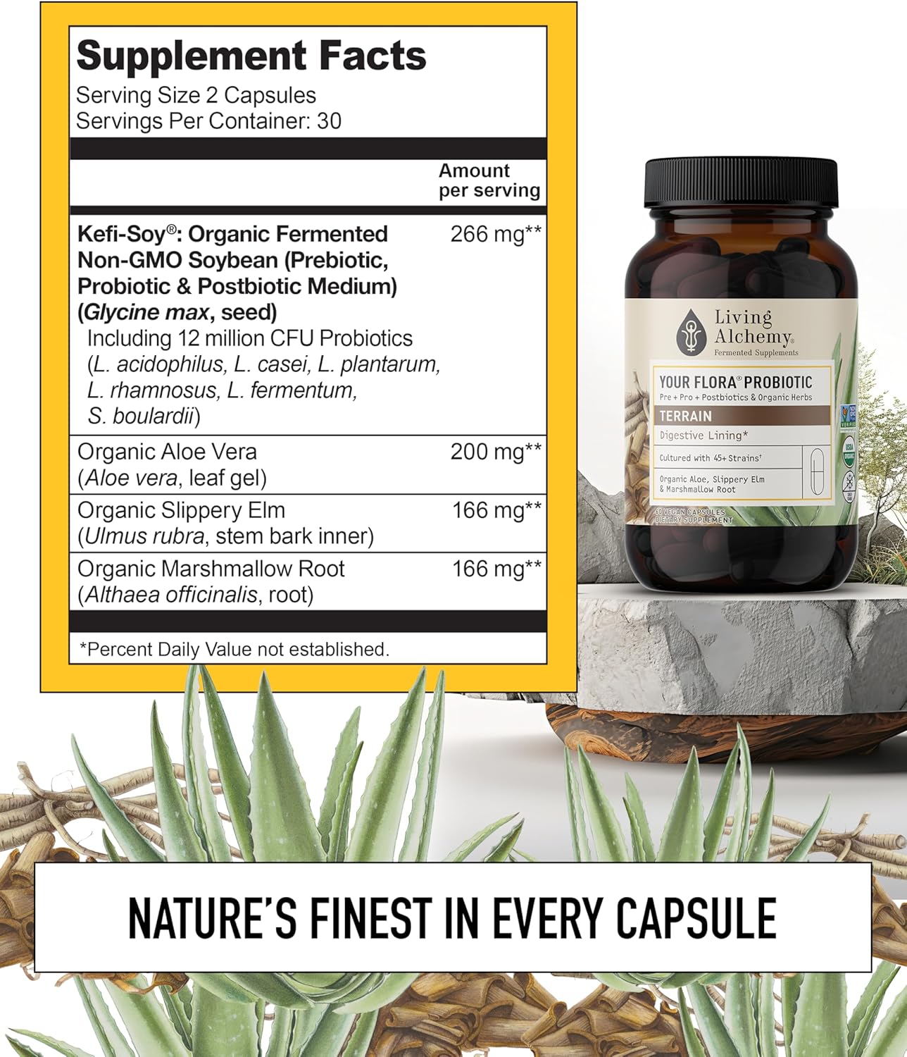 Living Alchemy Your Flora Probiotic Terrain: Non-GMO Digestive Supplement with Fermented Soybean, Aloe Vera, Slippery Elm - 60 Capsules