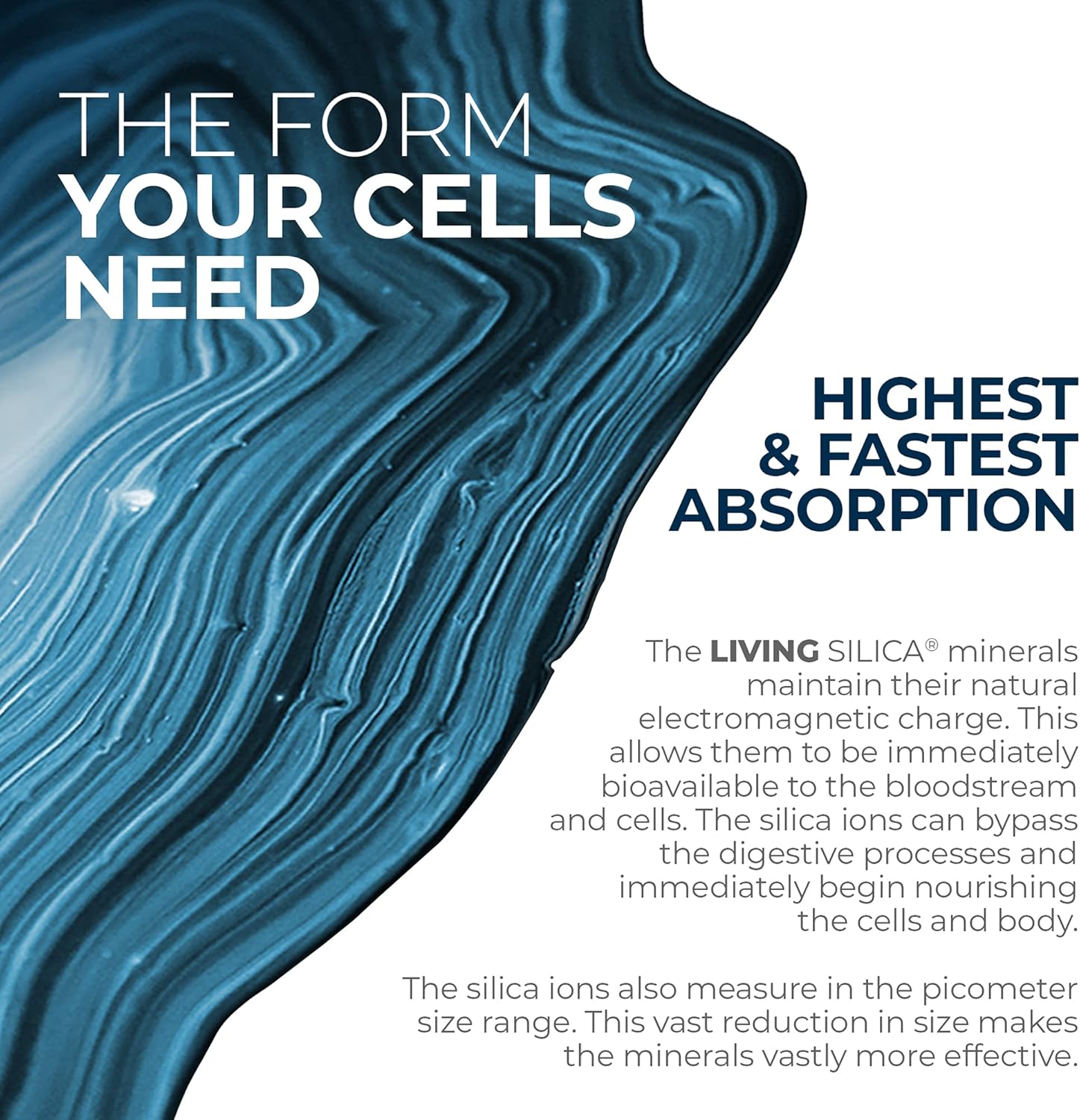 Living Silica Collagen Booster Capsules - High Absorption for Joint & Bone Support, Glowing Skin, Hair & Nails - 120 Count