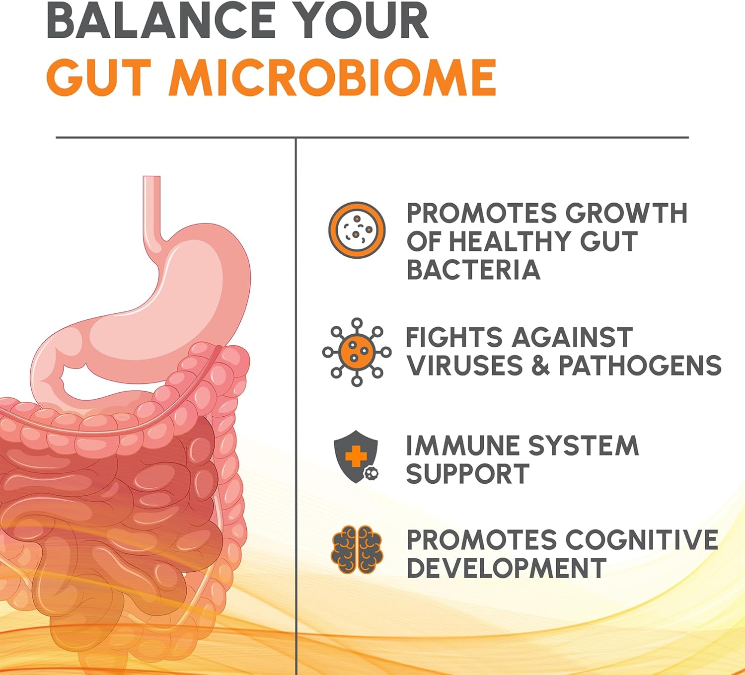 LivNu HMO 2'-FL Prebiotic Powder for Gut and Digestive Health - 45 Servings - Live New with LivNu