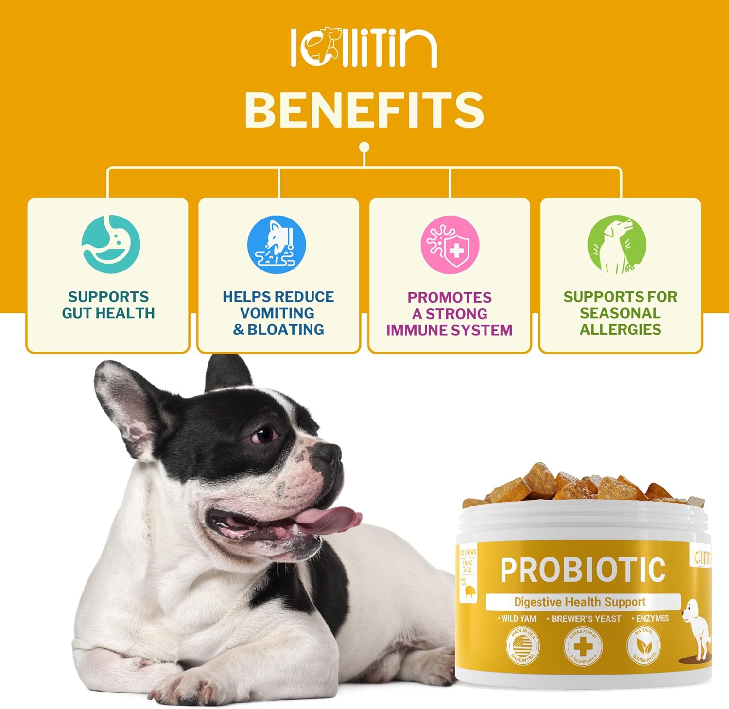 Lollitin Probiotic Chews for Dogs - Bacon Flavor, 120 Count - Natural Gut & Digestive Health Support with Prebiotics, Fiber, Enzymes - Immune Boost & Diarrhea Relief