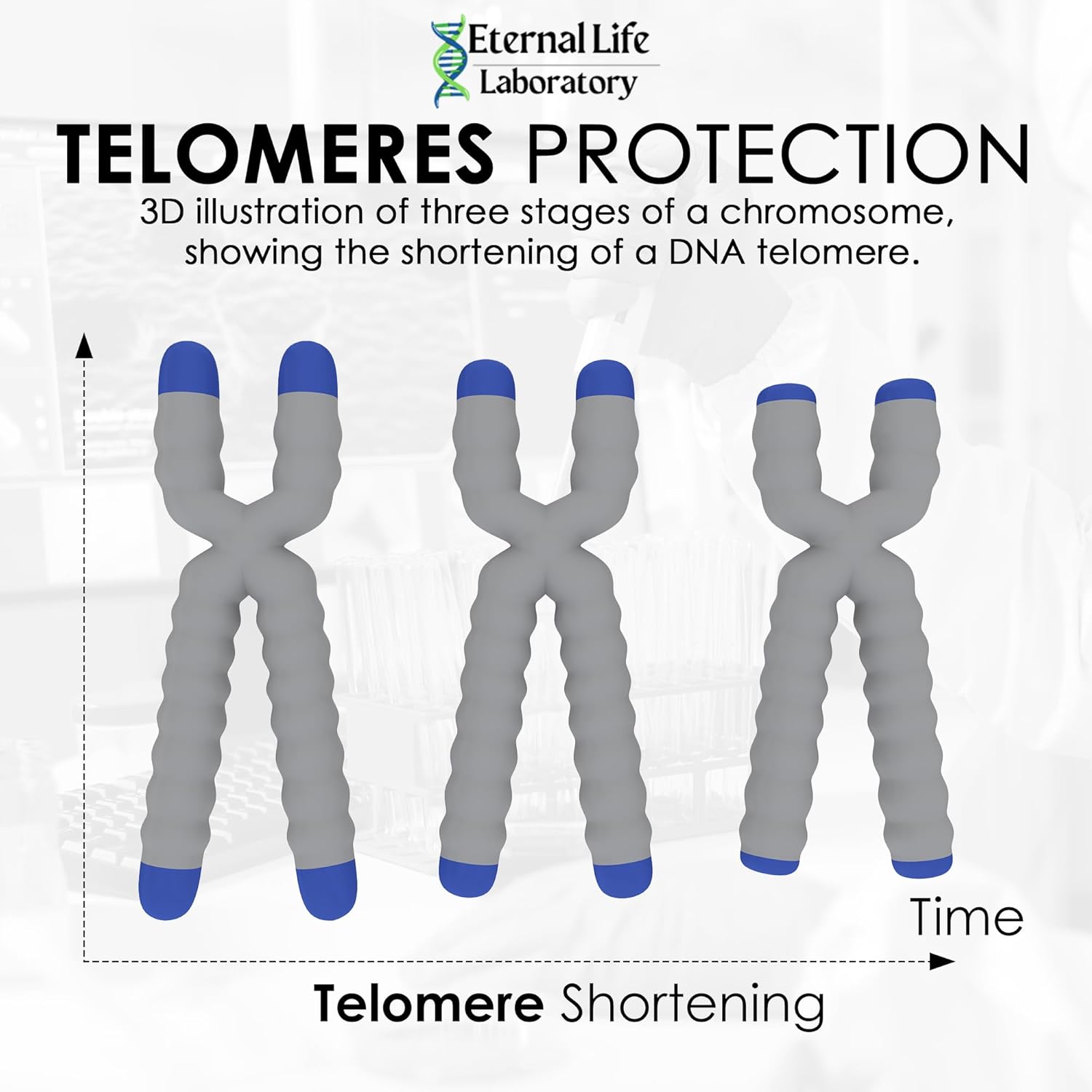 Longevity Blend NAD+ Supplement with CoQ10, PQQ, Nicotinamide Riboside, Shilajit - DNA Support, Anti Aging Skin & Cellular Vitality - 30 Capsules