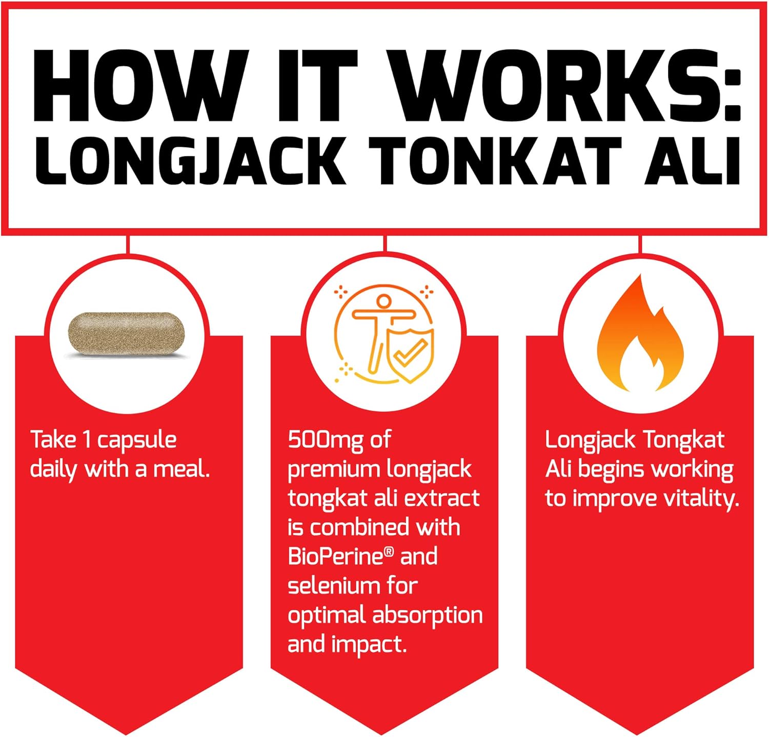 Longjack Tongkat Ali Capsules for Men - 500mg Extract with BioPerine, Supports Vitality and Drive - 60 Capsules (2-Pack)