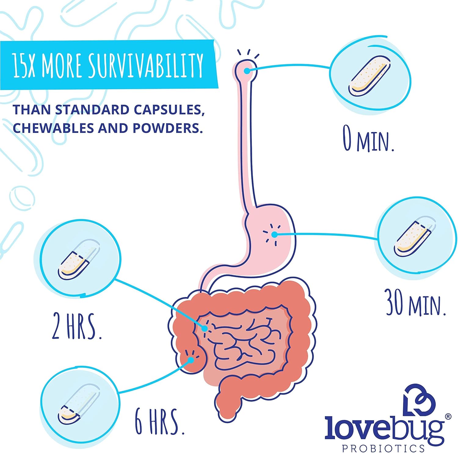 Lovebug Probiotics Here's The Skinny - Constipation, Gas, Bloat Relief - 10 Billion CFU, 60 Count