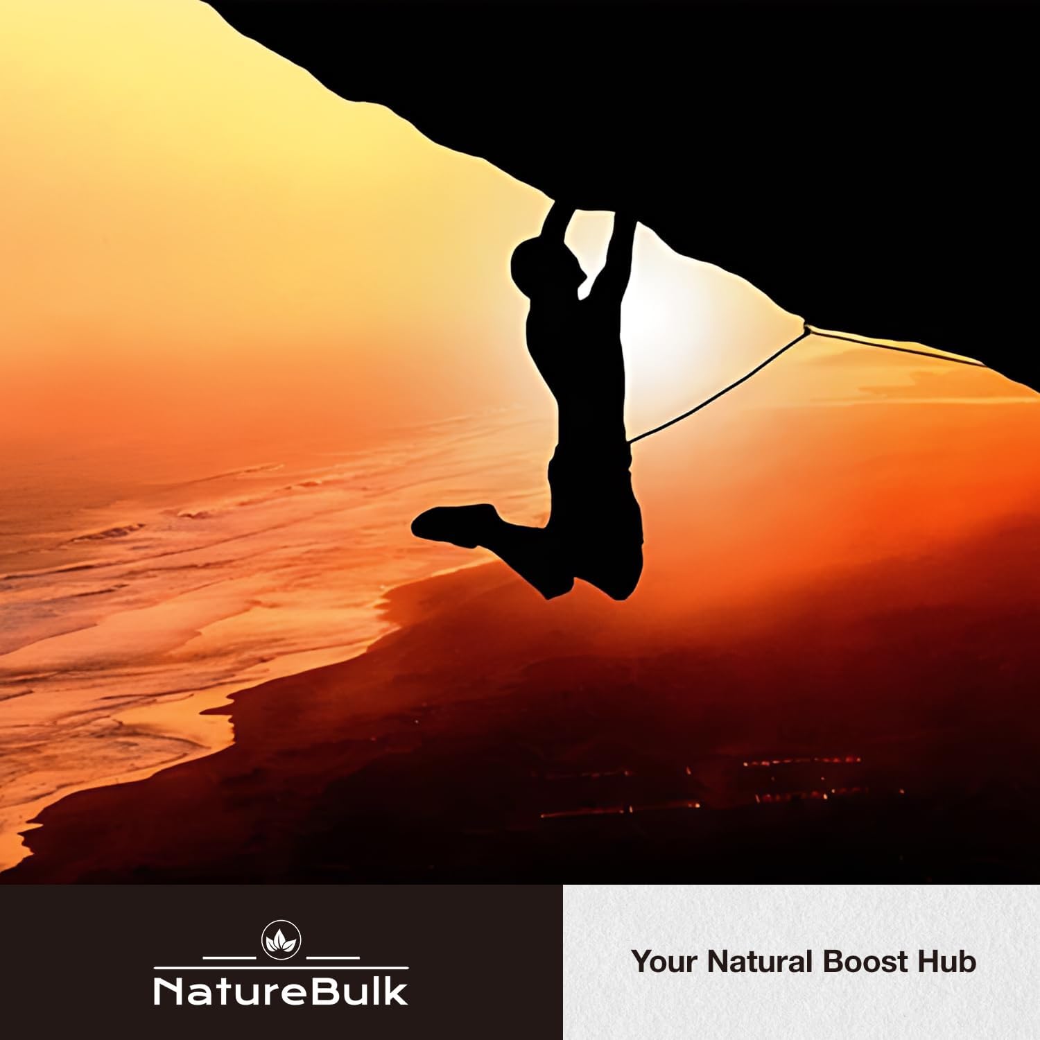 Lycopene and Astaxanthin Supplement with Reishi Spore for Skin Health and Immune Support - 120 Veggie Capsules