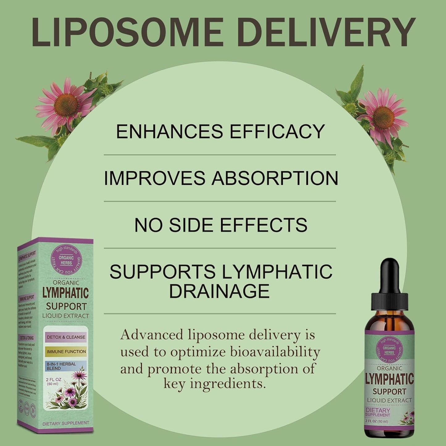 Lymphatic Drainage Drops for Detox Cleanse & Lymphedema Support with Echinacea, Burdock, Calendula - 2oz