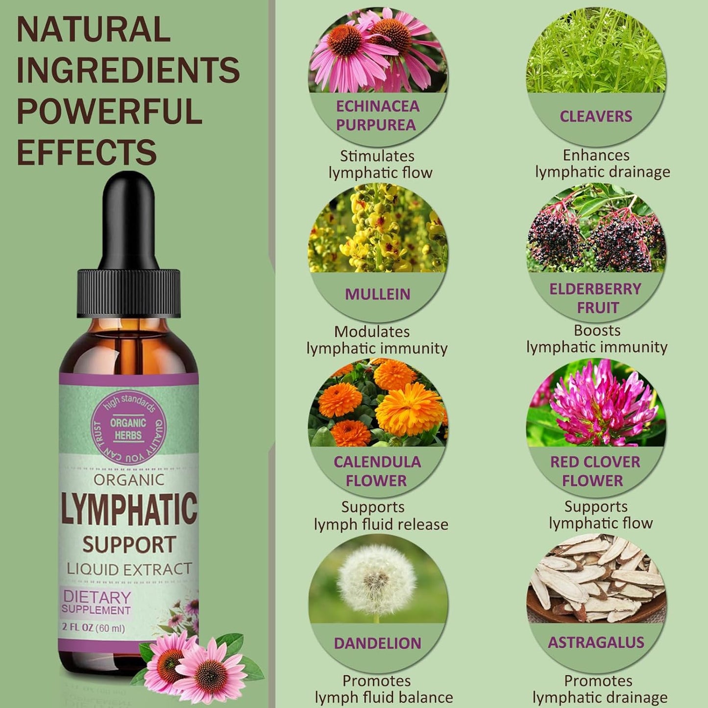 Lymphatic Drainage Drops for Detox Cleanse & Lymphedema Support with Echinacea, Burdock, Calendula - 2oz