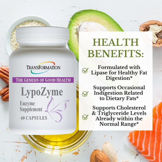 LypoZyme Enzyme Supplement for Healthy Digestion & Nutrient Absorption, Non-GMO - 60 Cap Bottle