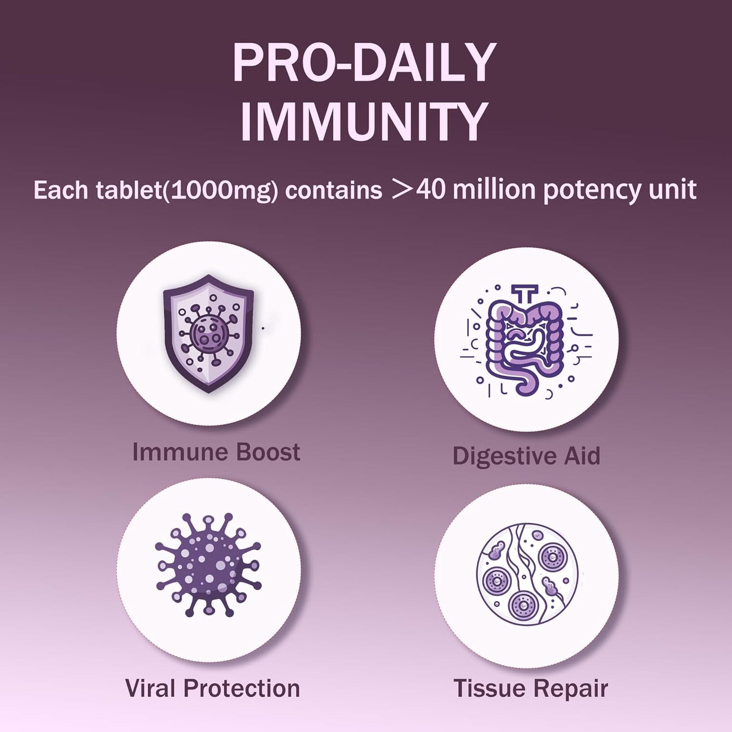 Lysozyme Supplement for Inflammation Support, Immune Boost & Digestive Health - H-HOLYMA WLM AAAAA