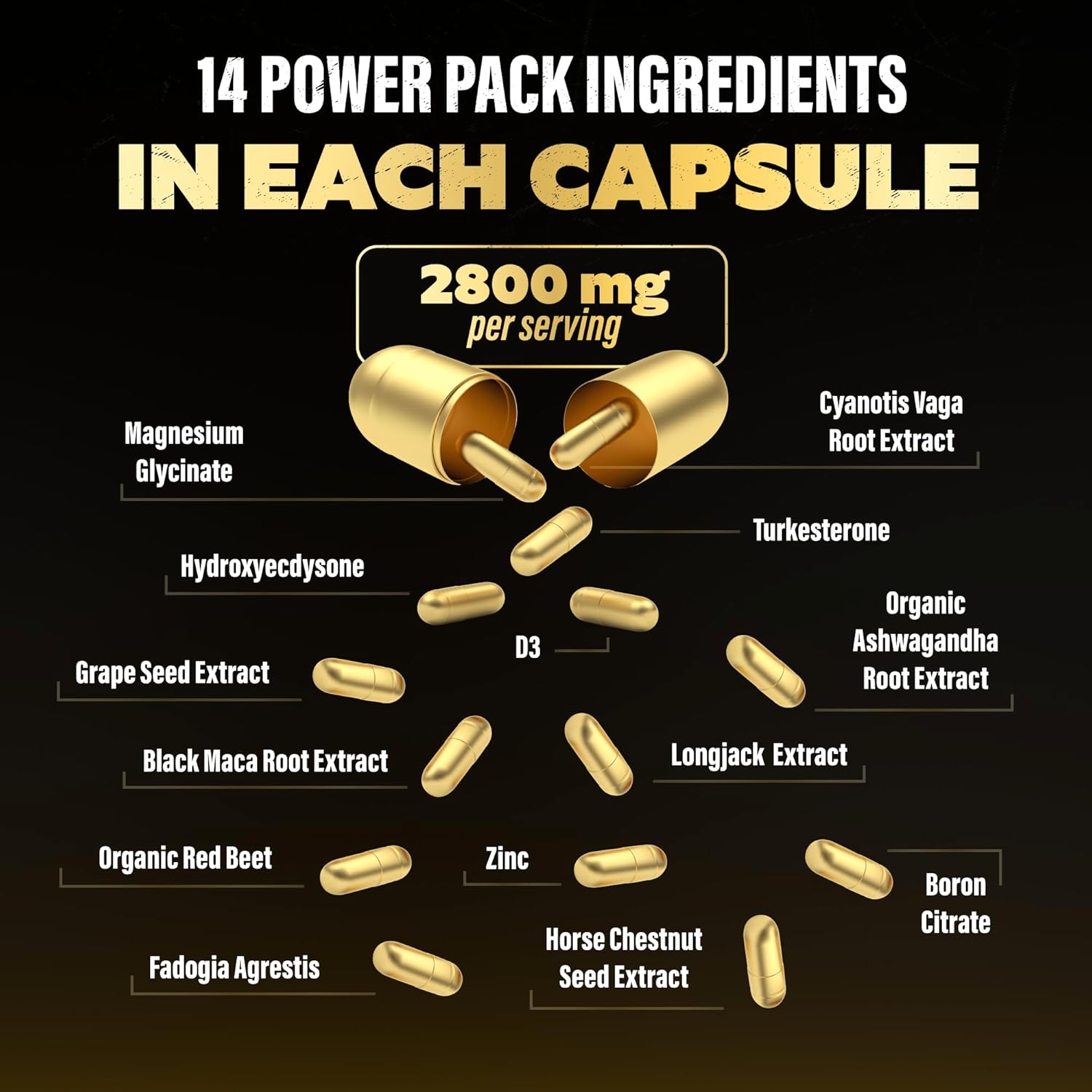 Male Enhancing Testosterone Support Supplement with Turkesterone, Tongkat Ali & Fadogia Agrestis - Boost Muscle Growth, Stamina & Recovery - Vitality Pills for Men