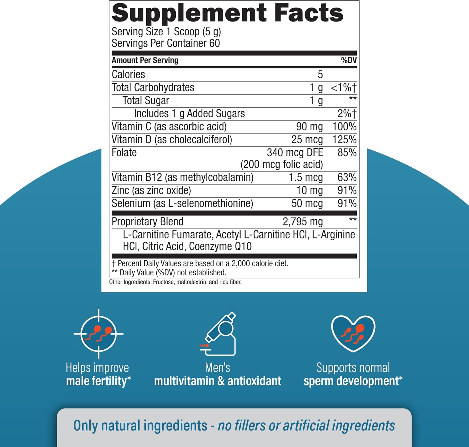 Male Fertility Supplement with L-Carnitine and L-Arginine for Optimal Sperm Count and Volume - 1 Month Supply of Powder - Preconception Formula