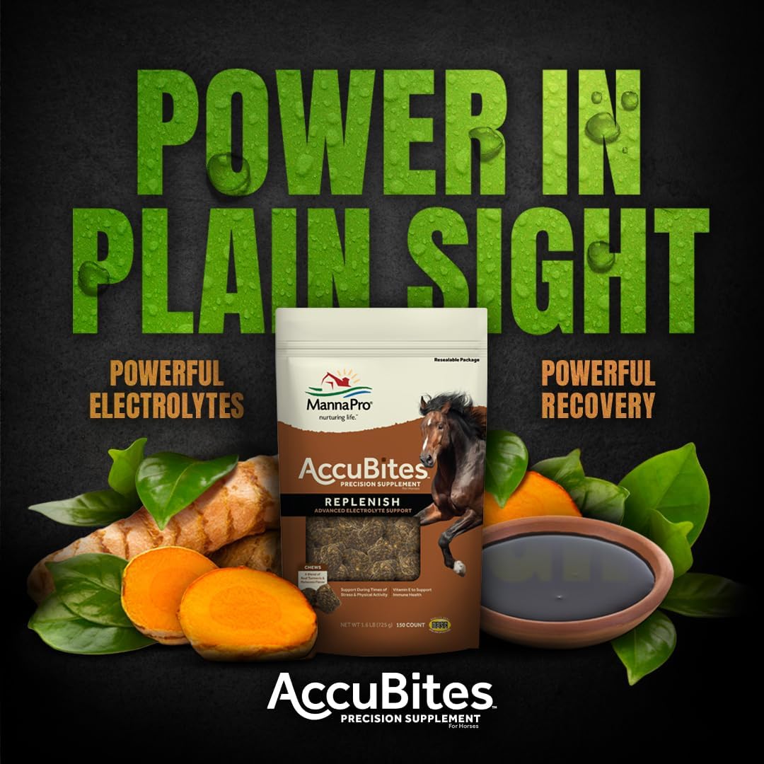Manna Pro AccuBites Equine Supplement for Hydration, Immune Support, and Overall Health - 1.6 lbs
